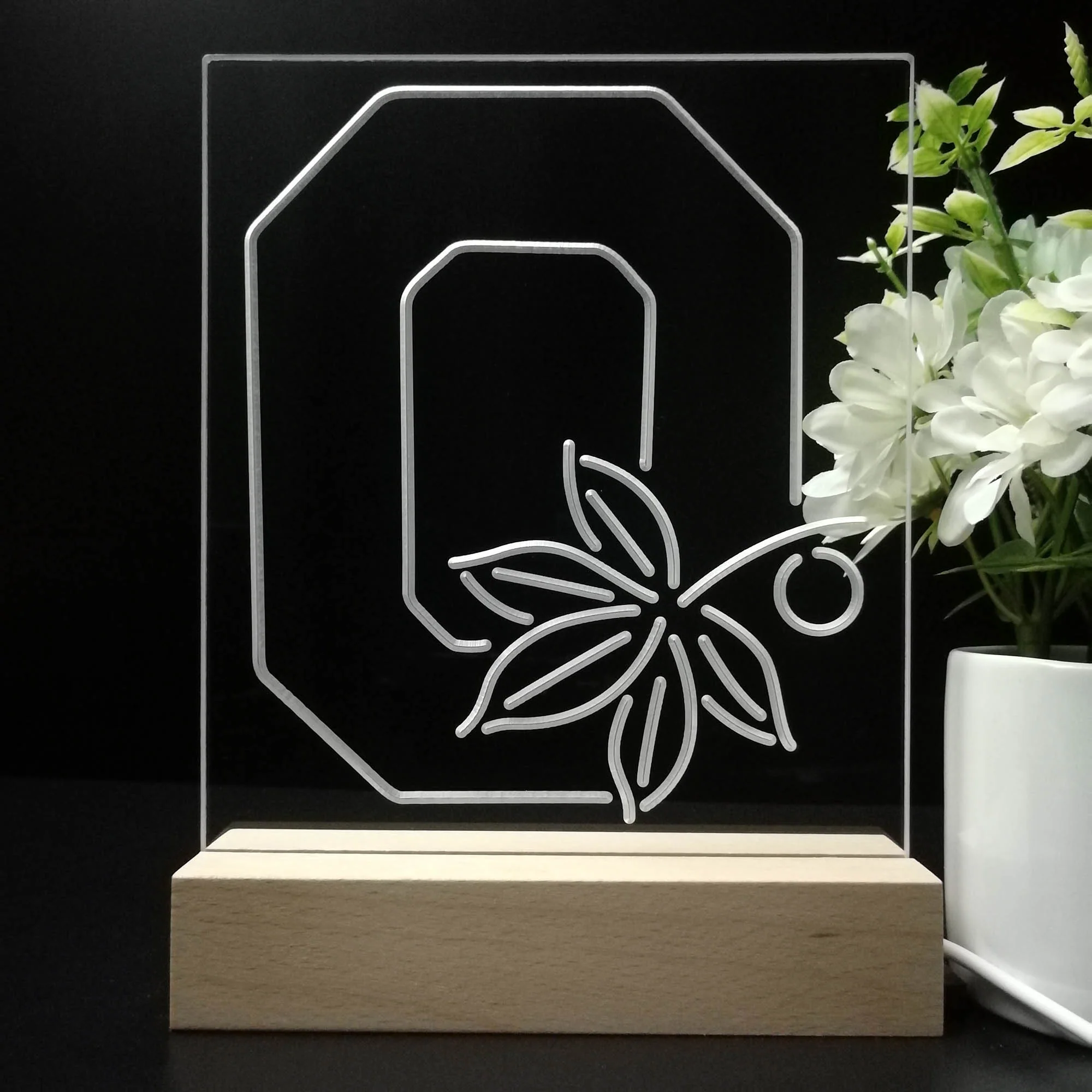 Ohio State Buckeyes Maple Leaf Neon Pub Bar Lamp - Image 8