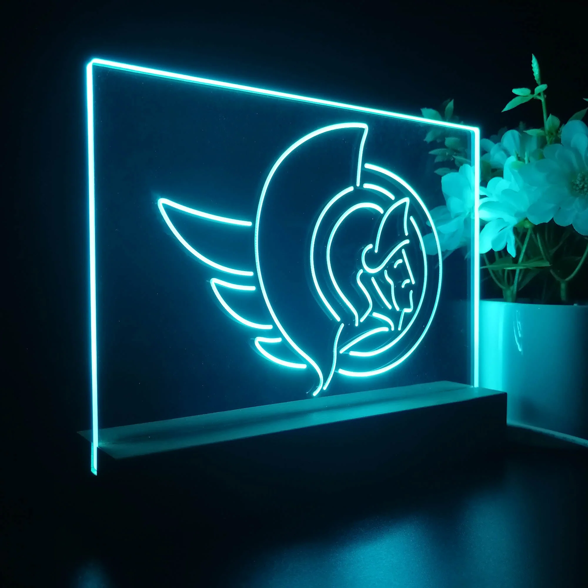 Ottawa Senators Night Light Pub Bar Lamp - Image 7