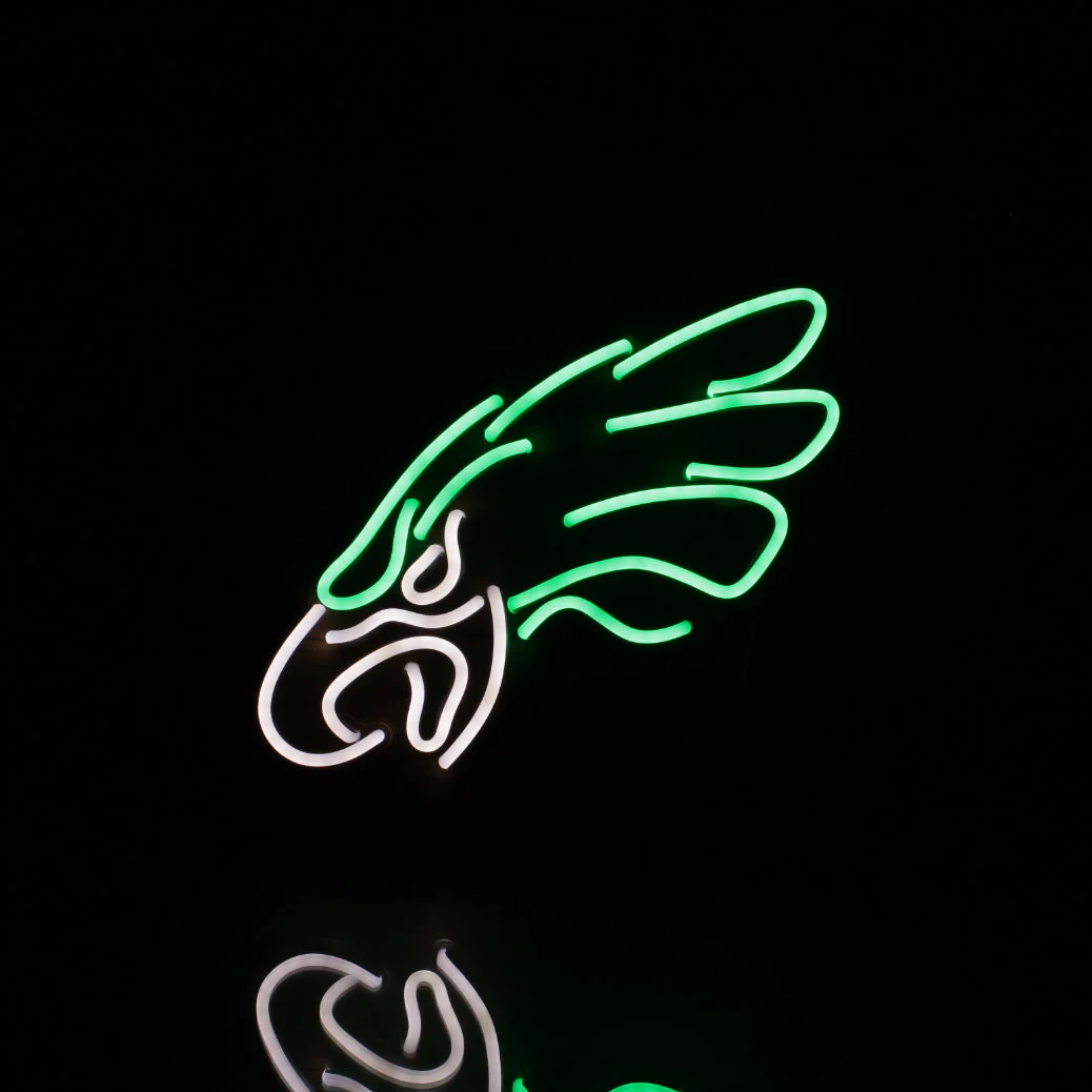 Philadelphia Eagles Flex Neon Sign - 16 Colors - Image 4