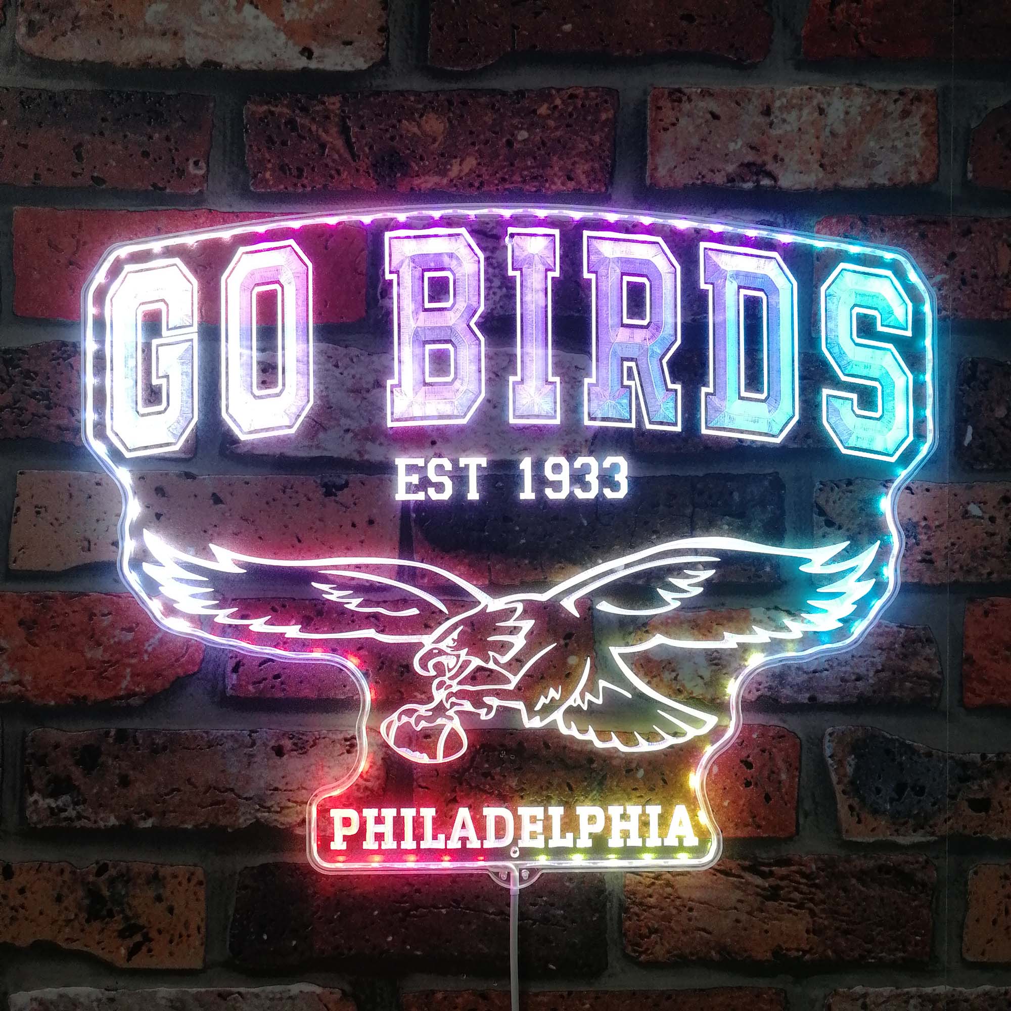 Philadelphia Eagles Go Birds Neon LED Sign with Dynamic RGB Colors - Premium Edge Lit