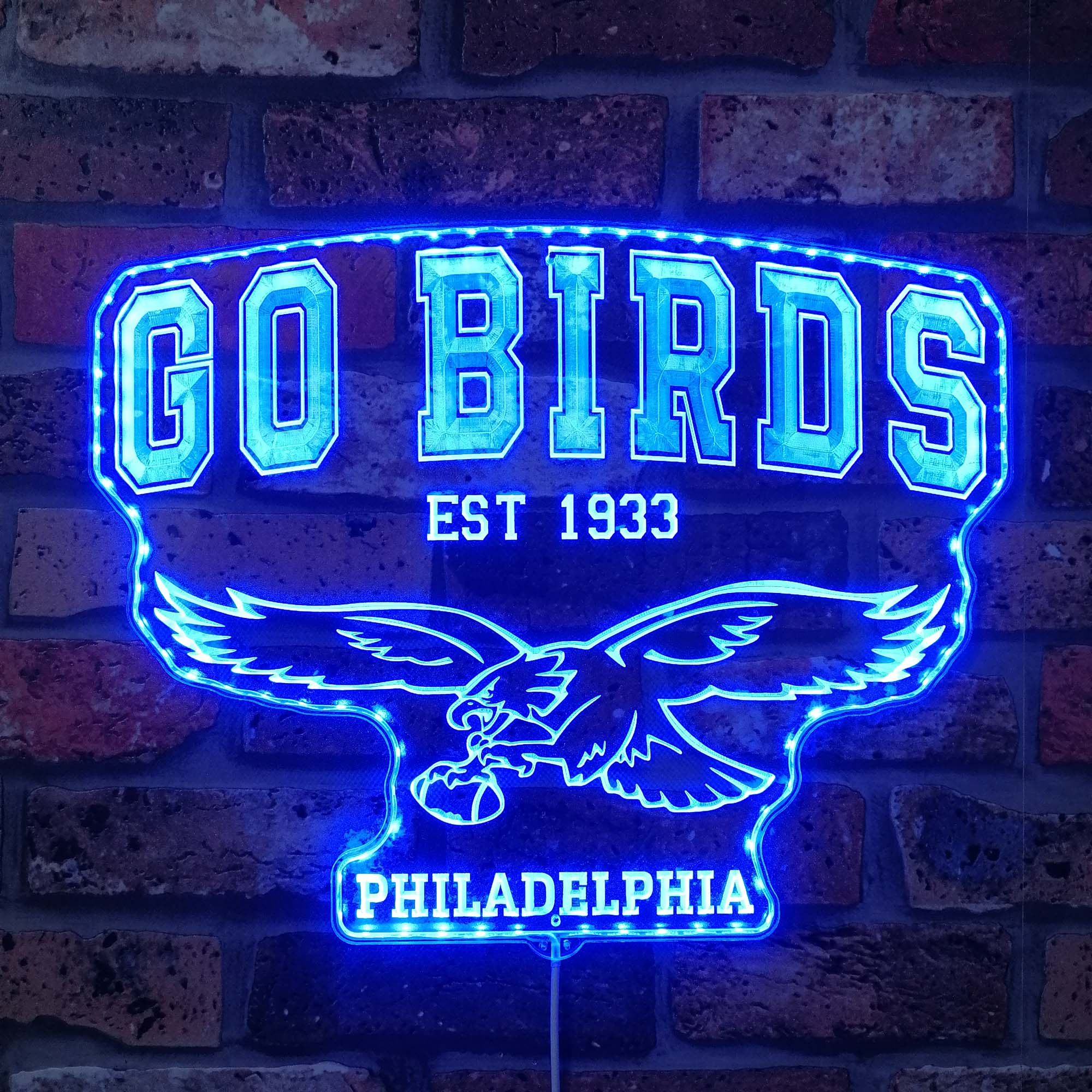 Philadelphia Eagles Go Birds Neon LED Sign with Dynamic RGB Colors - Premium Edge Lit - Image 6