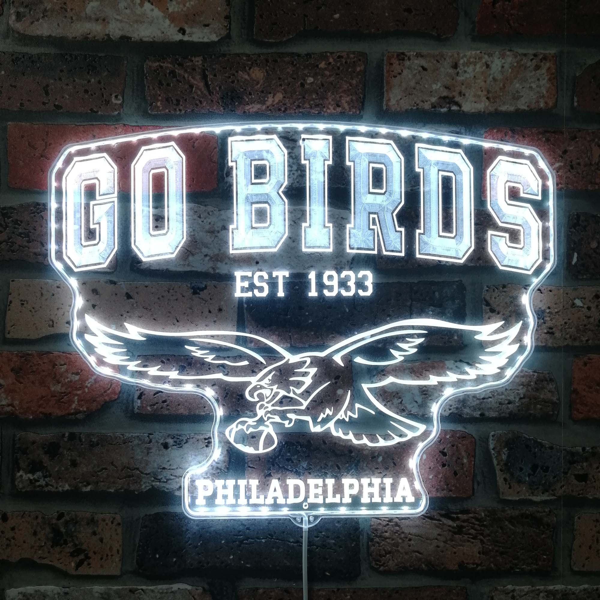 Philadelphia Eagles Go Birds Neon LED Sign with Dynamic RGB Colors - Premium Edge Lit - Image 7