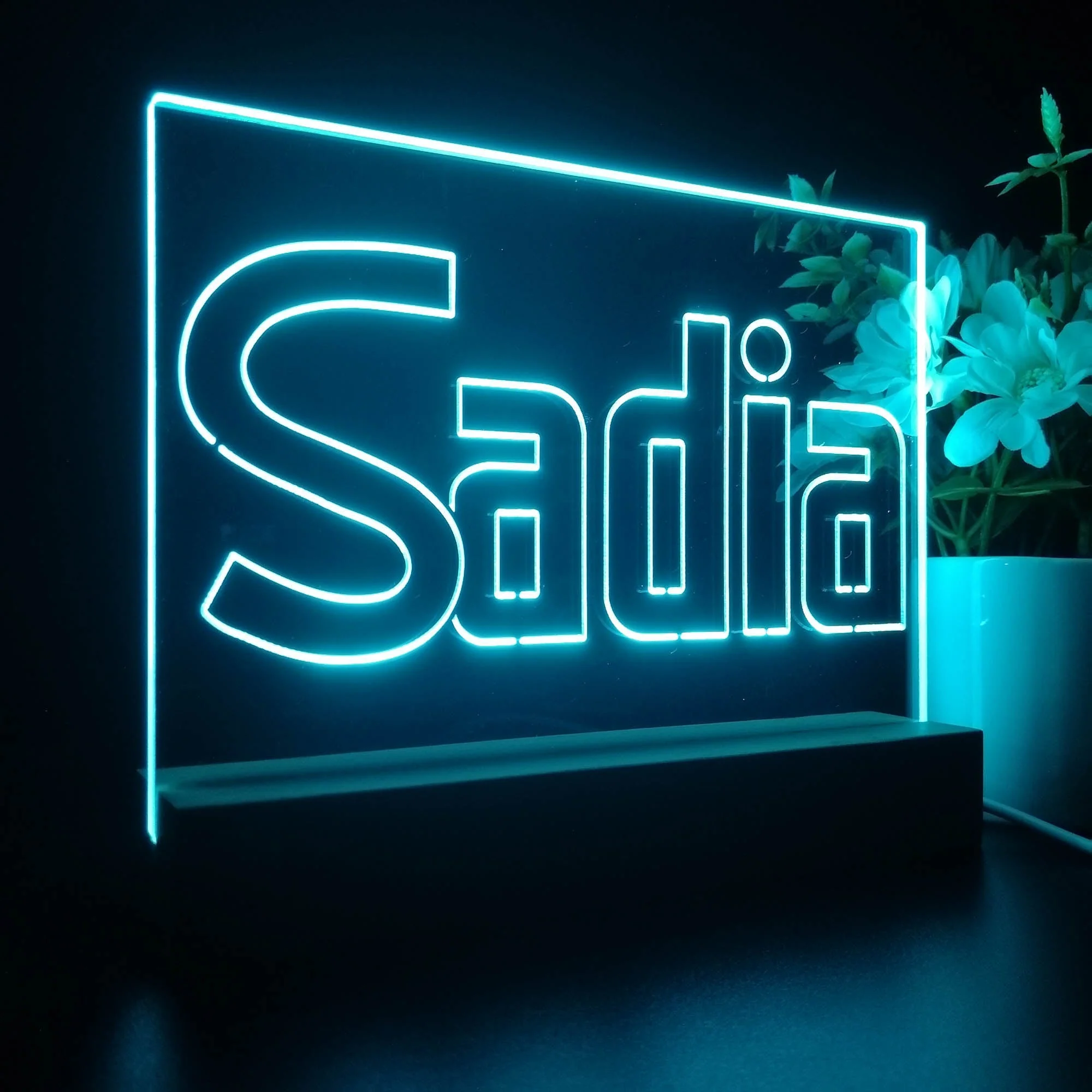 Sadia Neon Sign Pub Bar Lamp - Image 5