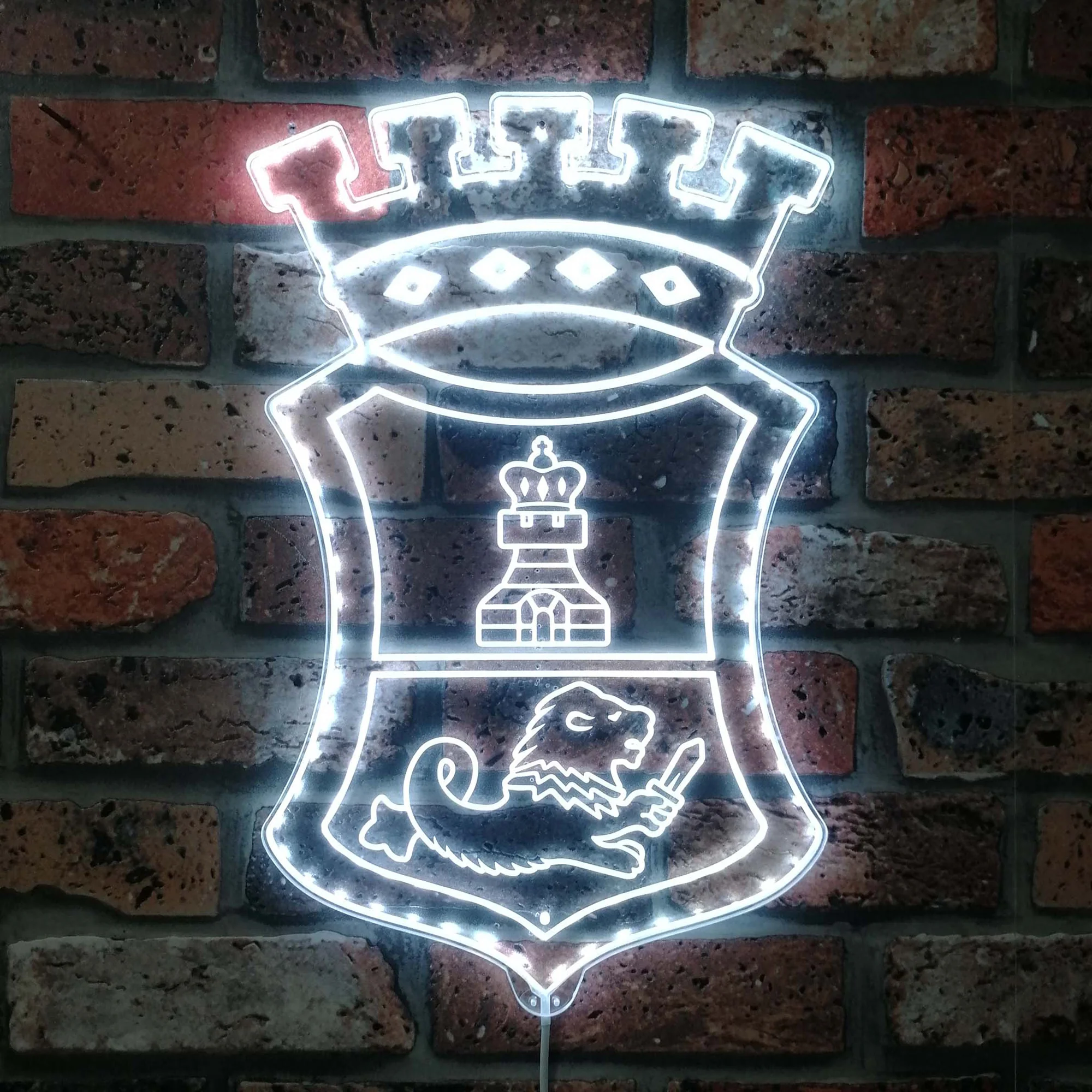 San Miguel Neon LED Sign with Dynamic RGB Colors - Image 5
