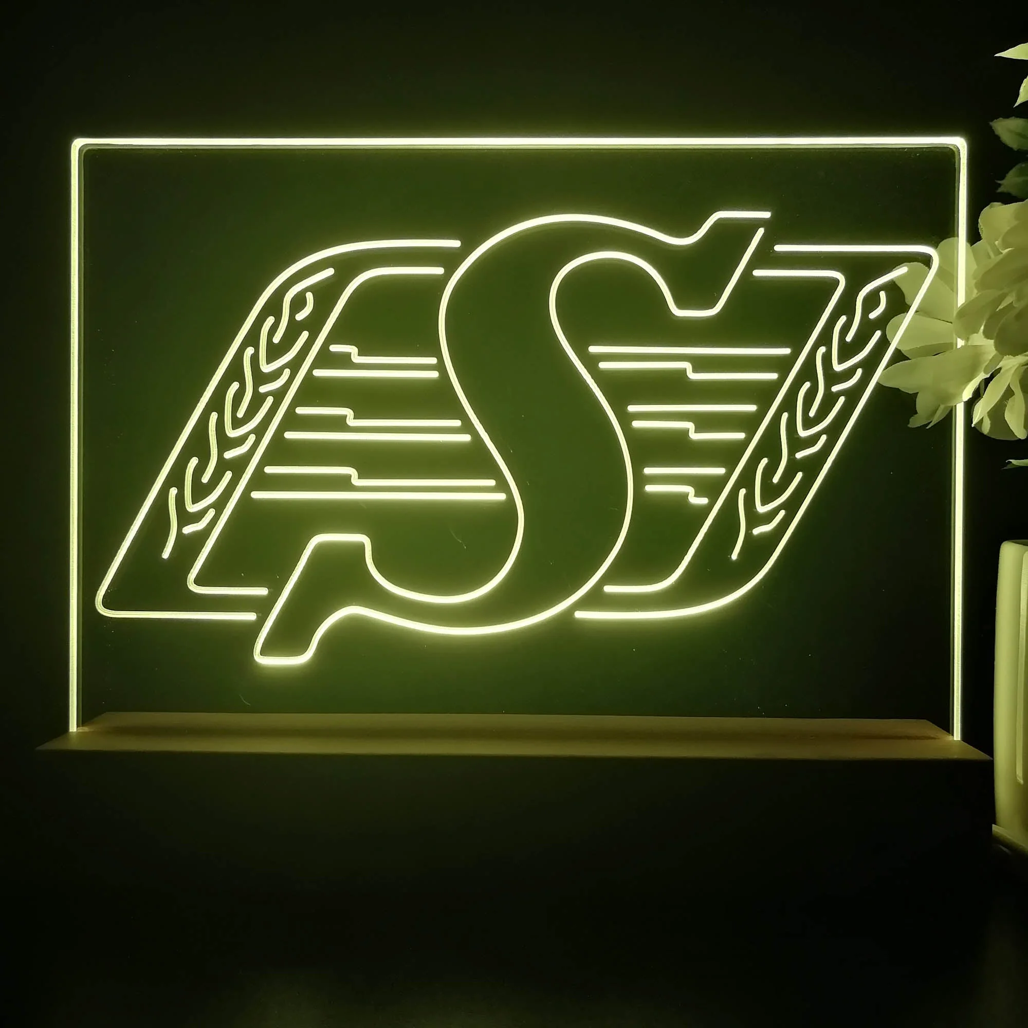 Saskatchewan Roughriders,cfl Night Light Pub Bar Lamp - Image 3