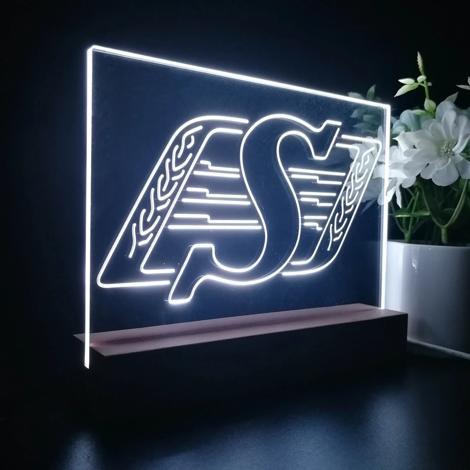 Saskatchewan Roughriders,cfl Night Light Pub Bar Lamp - Image 6