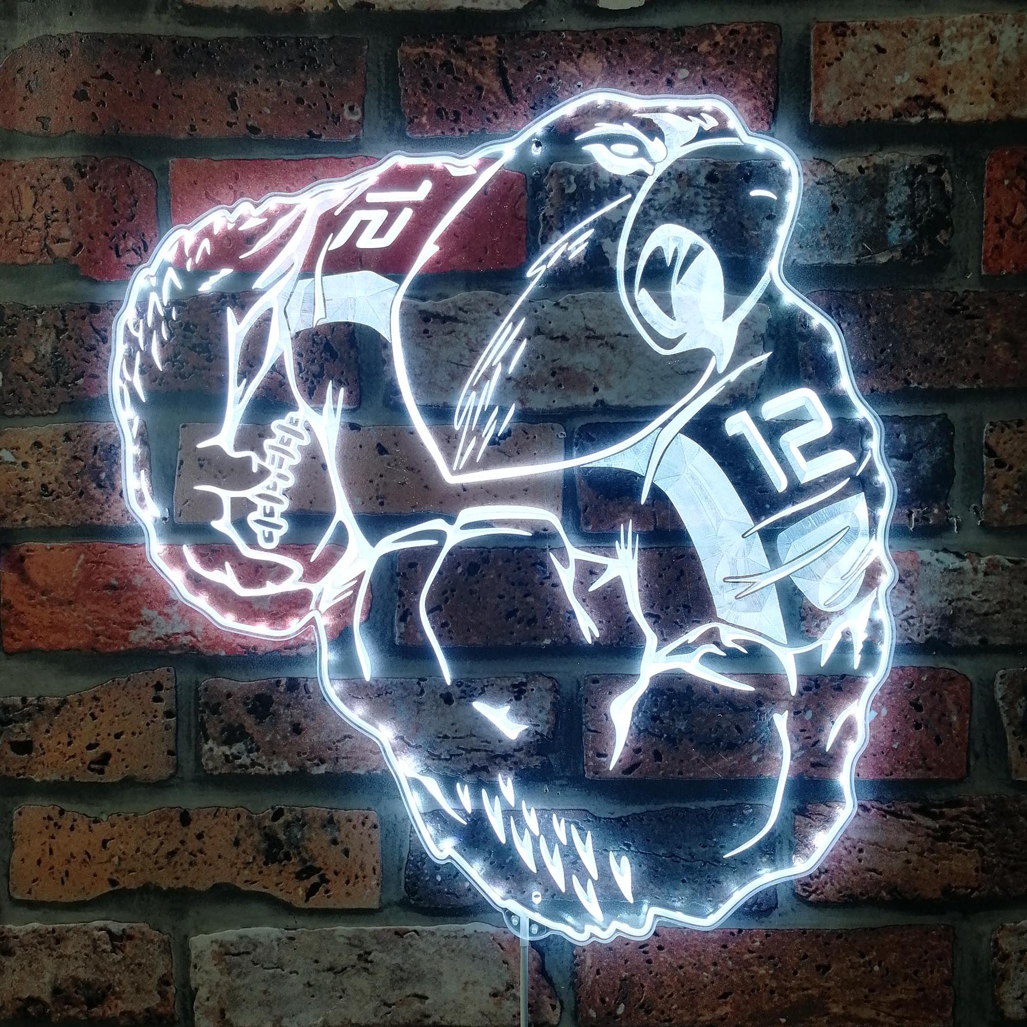 Seattle Seahawks Mascot Neon LED Sign with Dynamic RGB Colors - Image 5