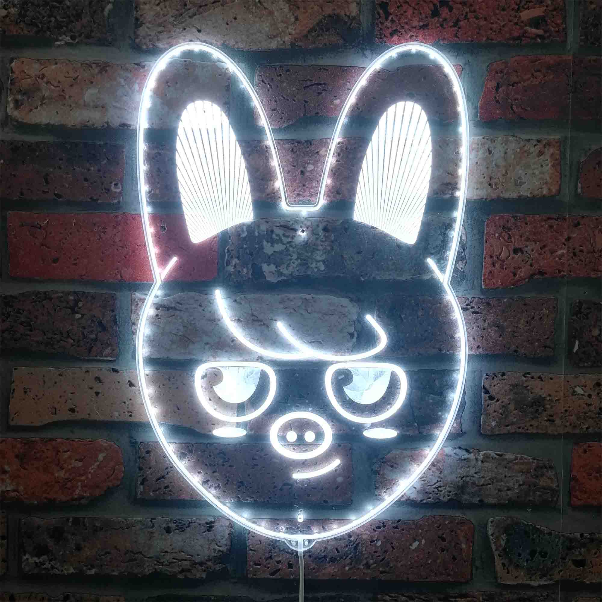 Skzoo Dwakki Neon LED Sign with Dynamic RGB Colors - Image 5