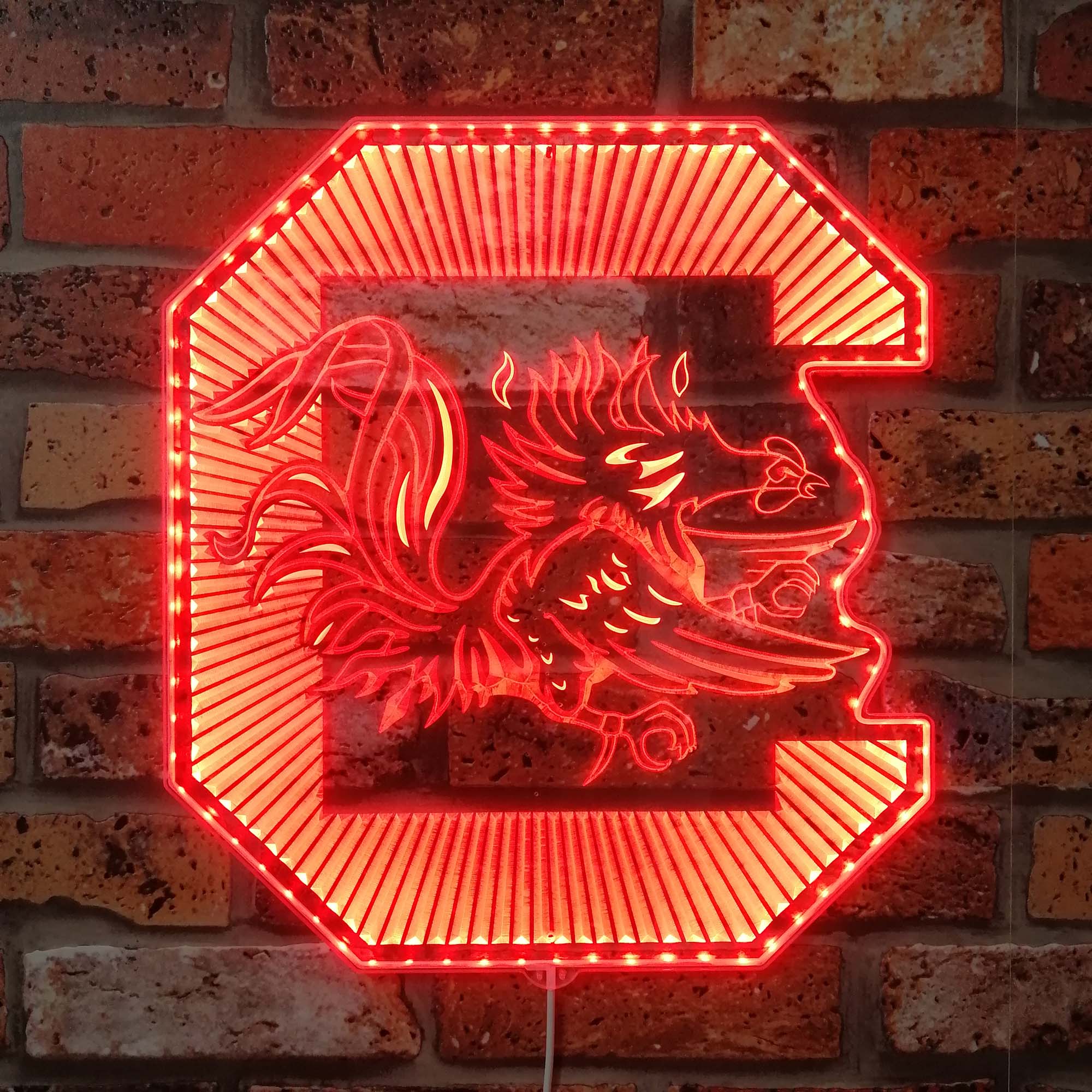 South Carolina Gamecocks Neon LED Sign with Dynamic RGB Colors - Image 3