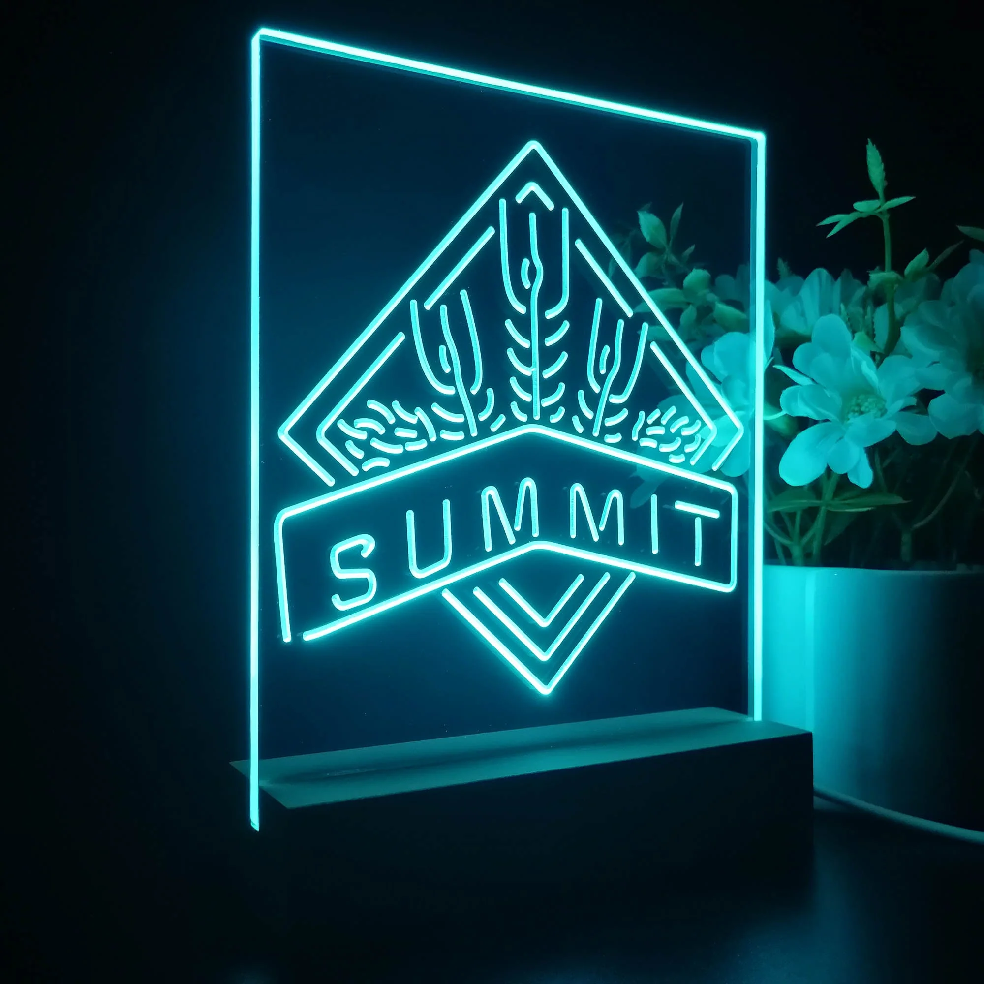 Summit Brewing Co 3D Illusion Night Light Desk Lamp - Image 6