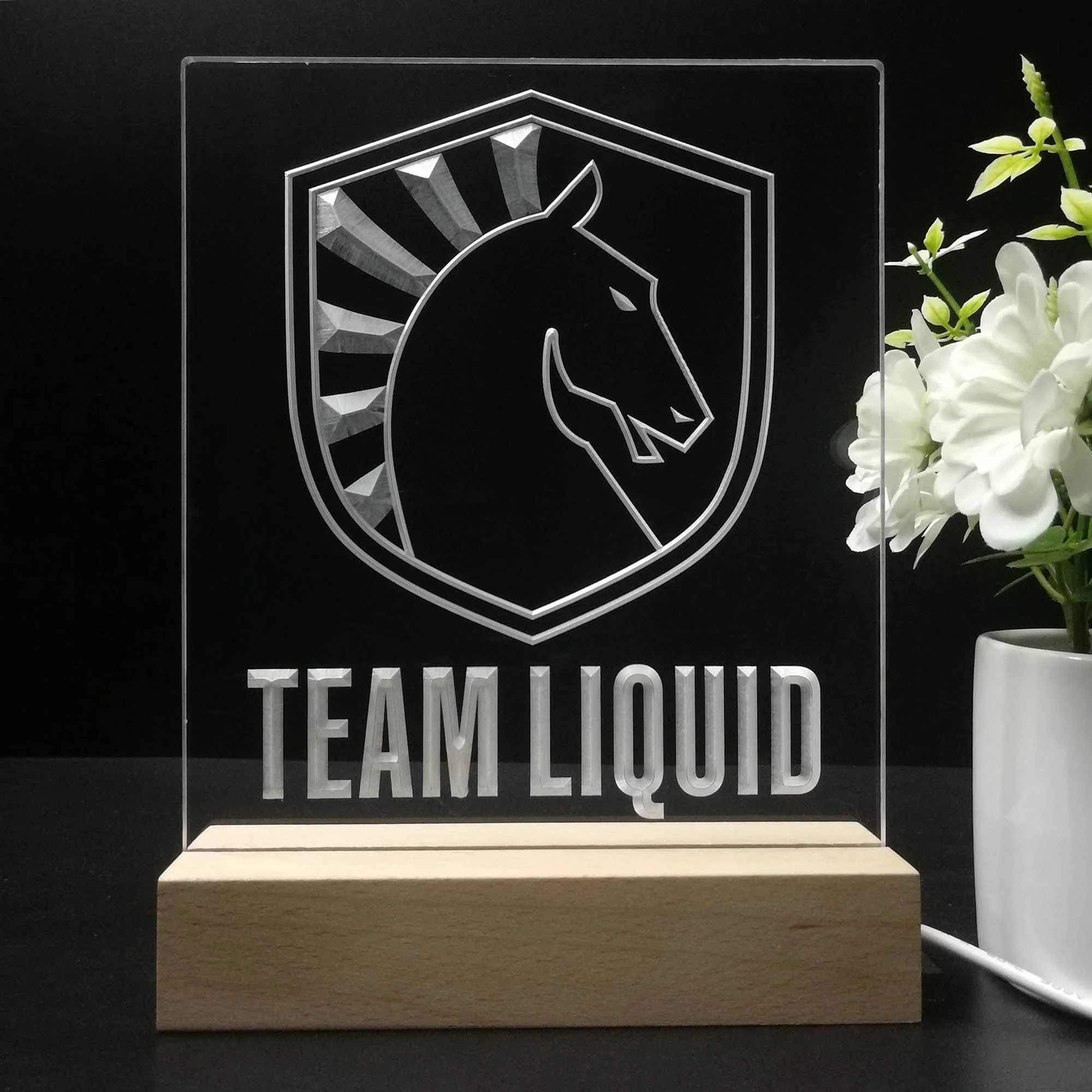 Team Liquid 3D Illusion Night Light Desk Lamp - Image 8