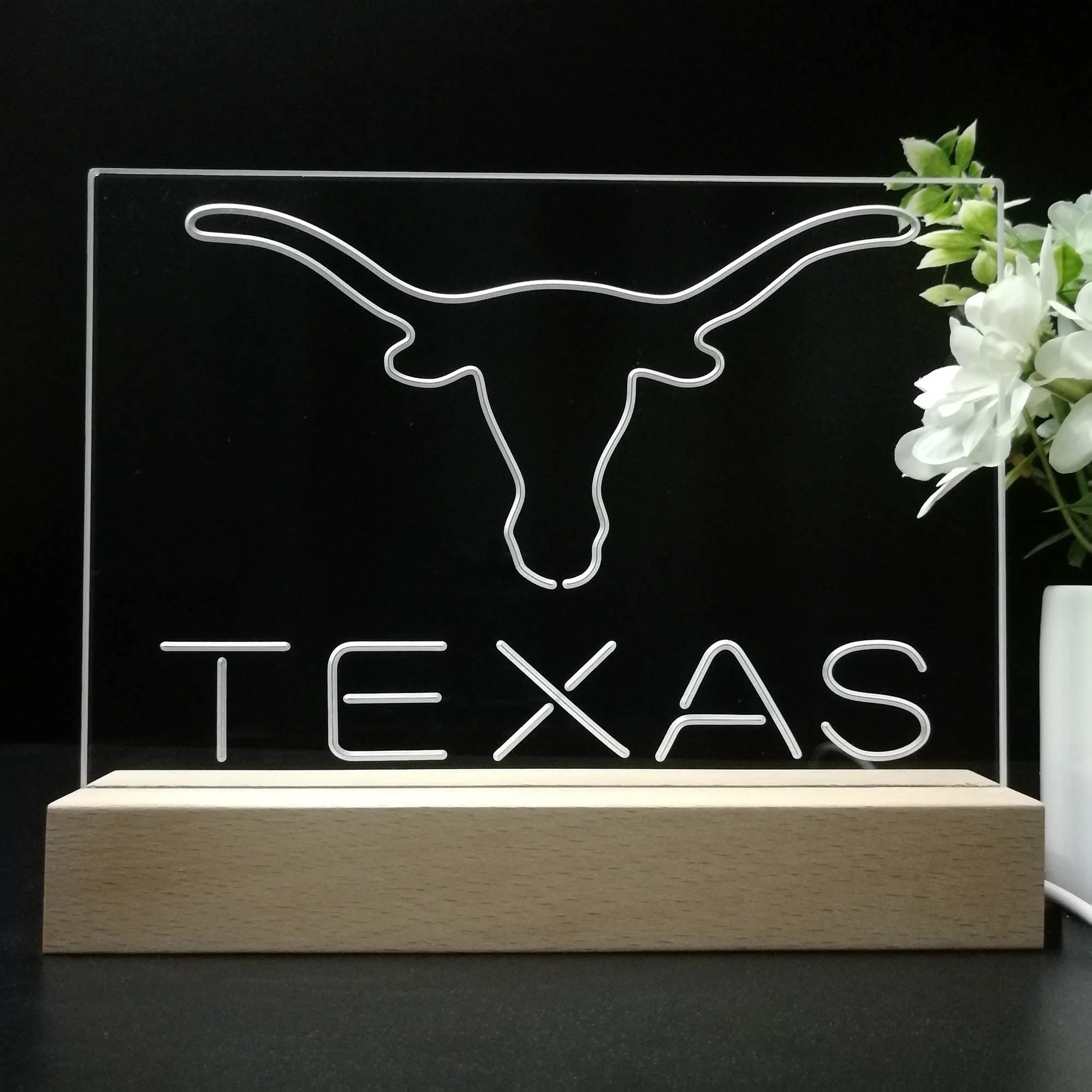 Texas Longhorns 3D Illusion Night Light Desk Lamp - Image 8