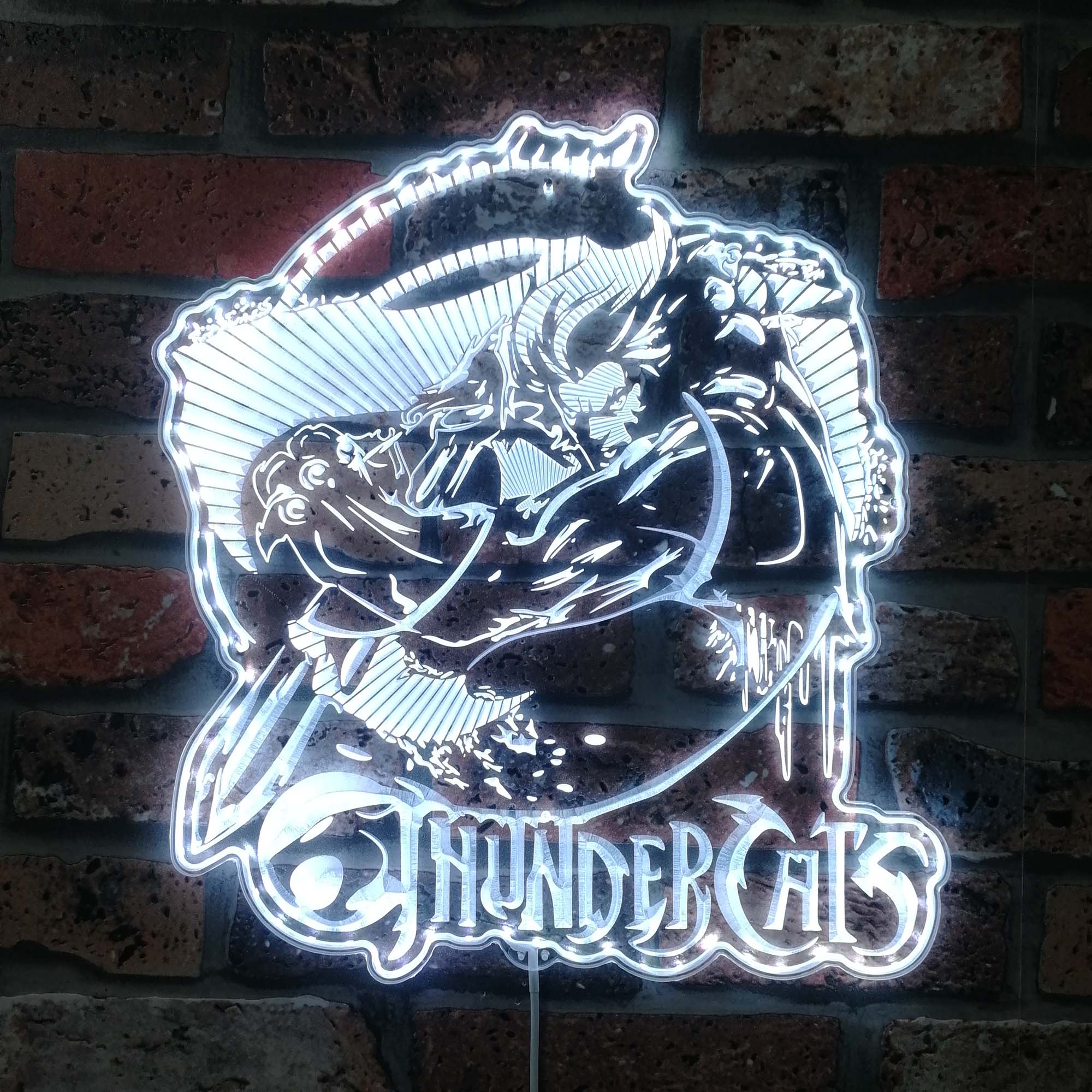 ThunderCats Neon LED Sign with Dynamic RGB Colors - Image 5