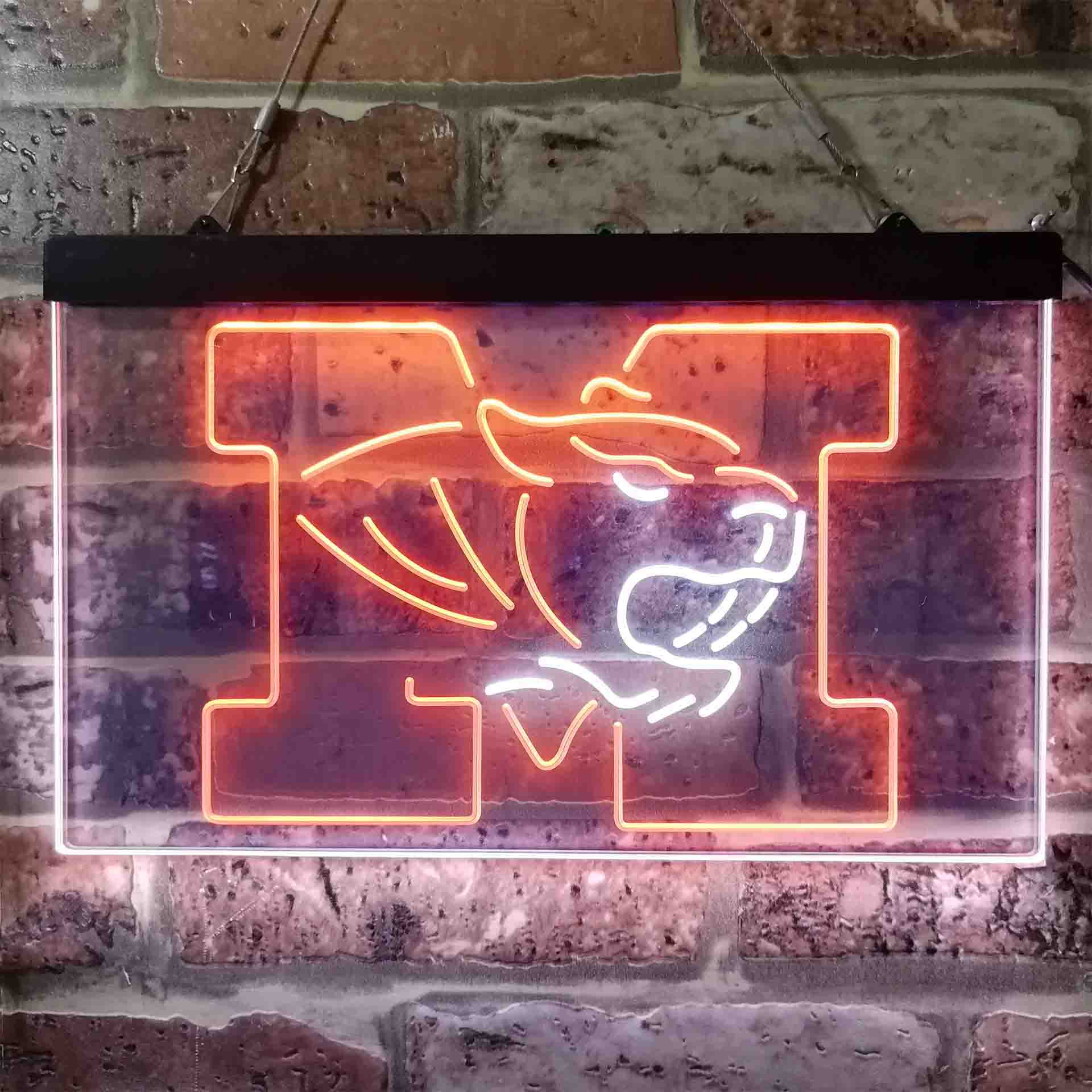 University of Missouri Tigers,NCAA Neon-Like LED Sign - Image 12