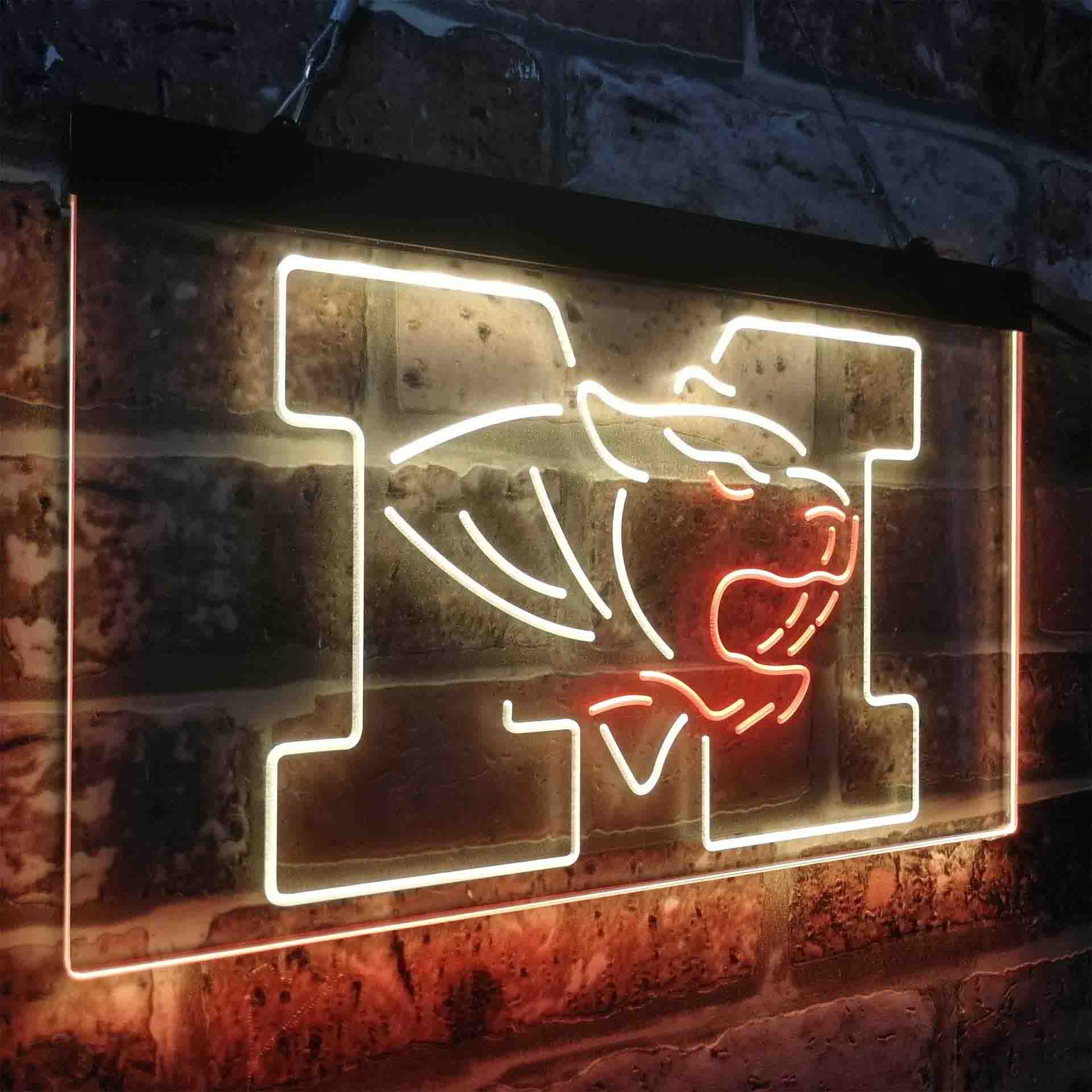 University of Missouri Tigers,NCAA Neon-Like LED Sign - Image 14