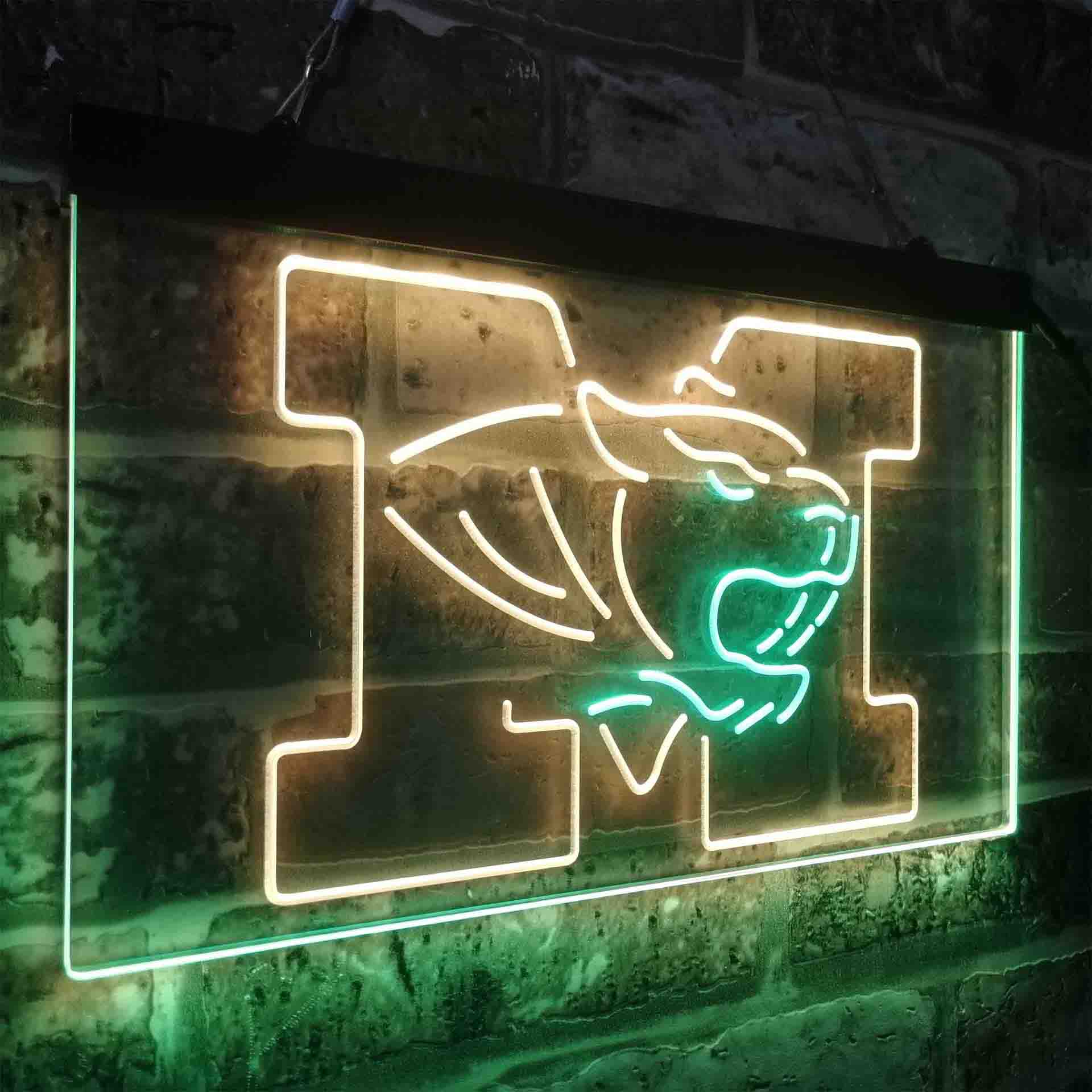 University of Missouri Tigers,NCAA Neon-Like LED Sign - Image 15