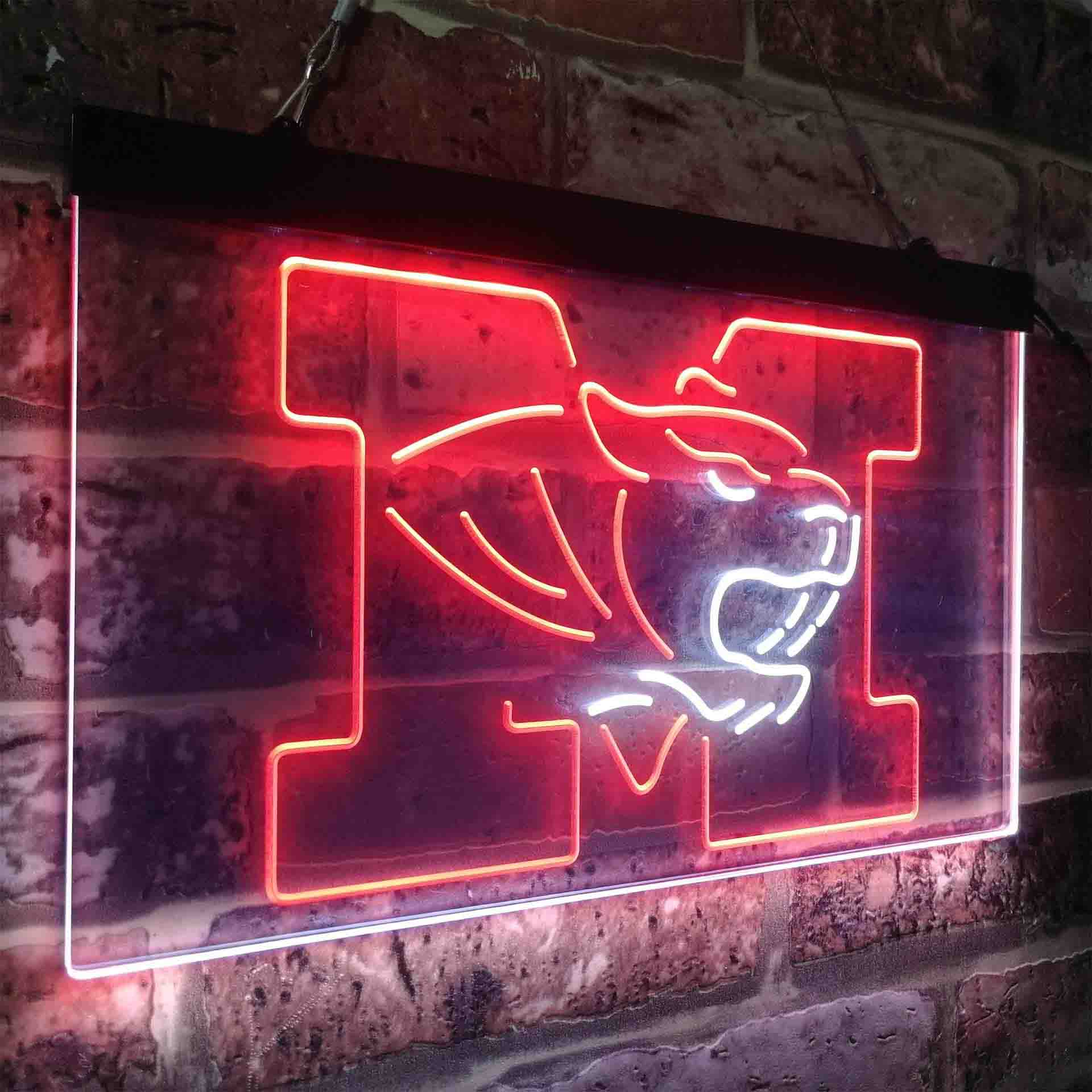 University of Missouri Tigers,NCAA Neon-Like LED Sign - Image 17
