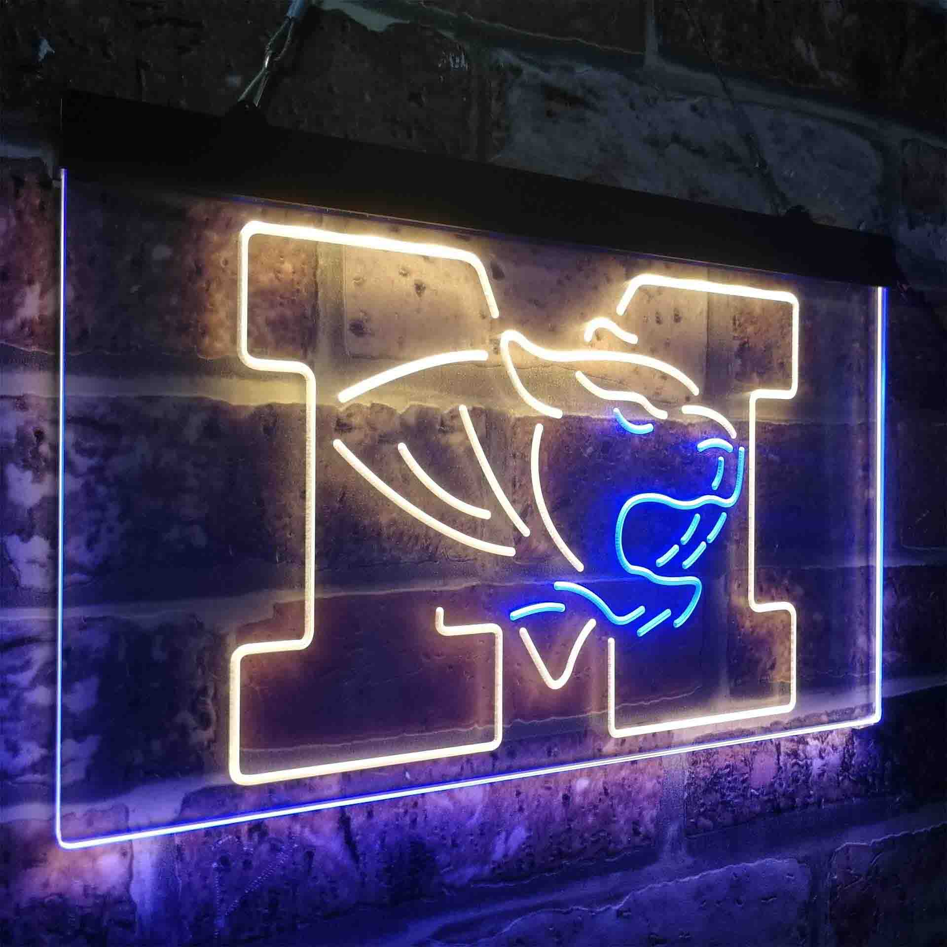 University of Missouri Tigers,NCAA Neon-Like LED Sign - Image 18