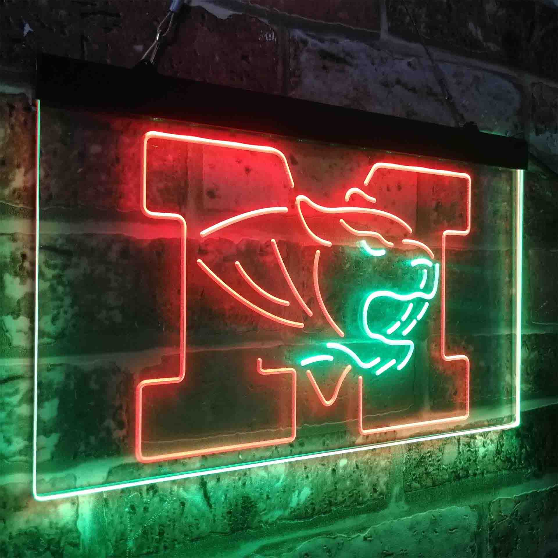 University of Missouri Tigers,NCAA Neon-Like LED Sign - Image 19