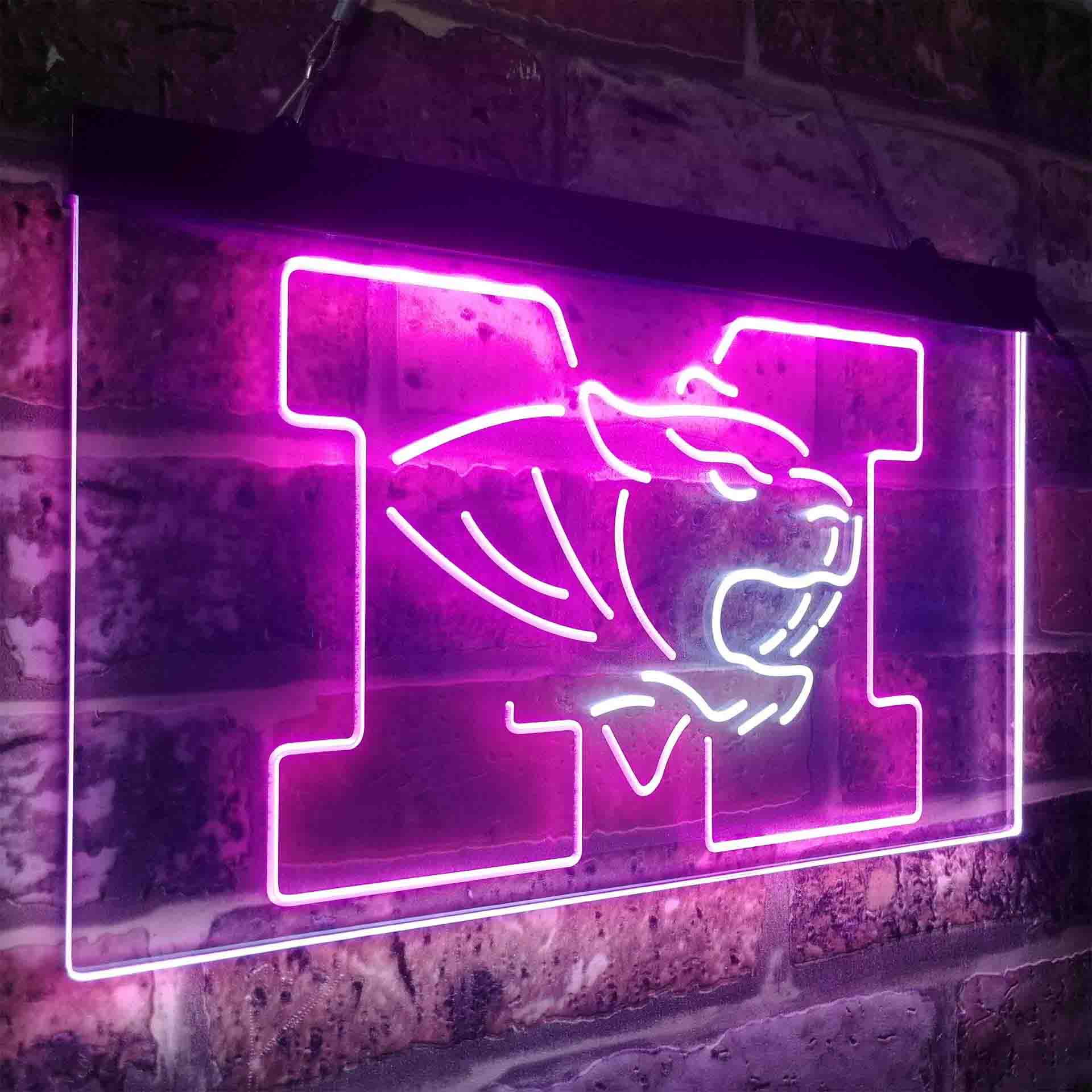 University of Missouri Tigers,NCAA Neon-Like LED Sign - Image 20