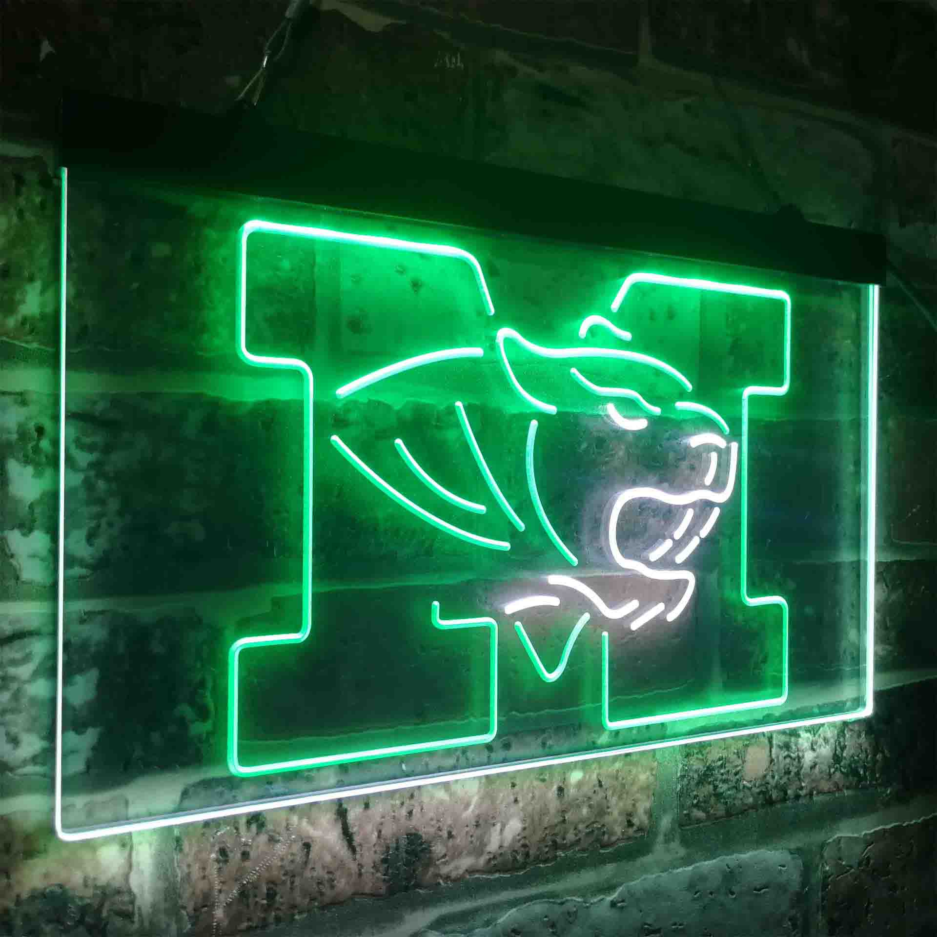 University of Missouri Tigers,NCAA Neon-Like LED Sign - Image 21