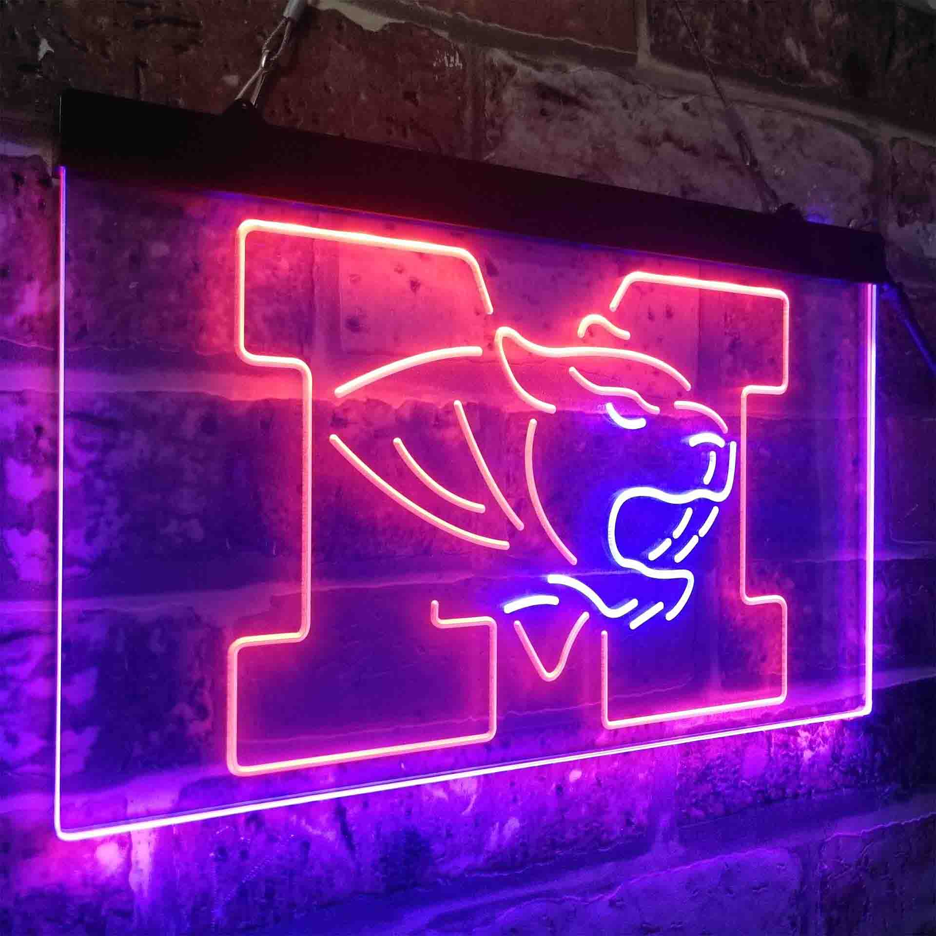 University of Missouri Tigers,NCAA Neon-Like LED Sign - Image 22