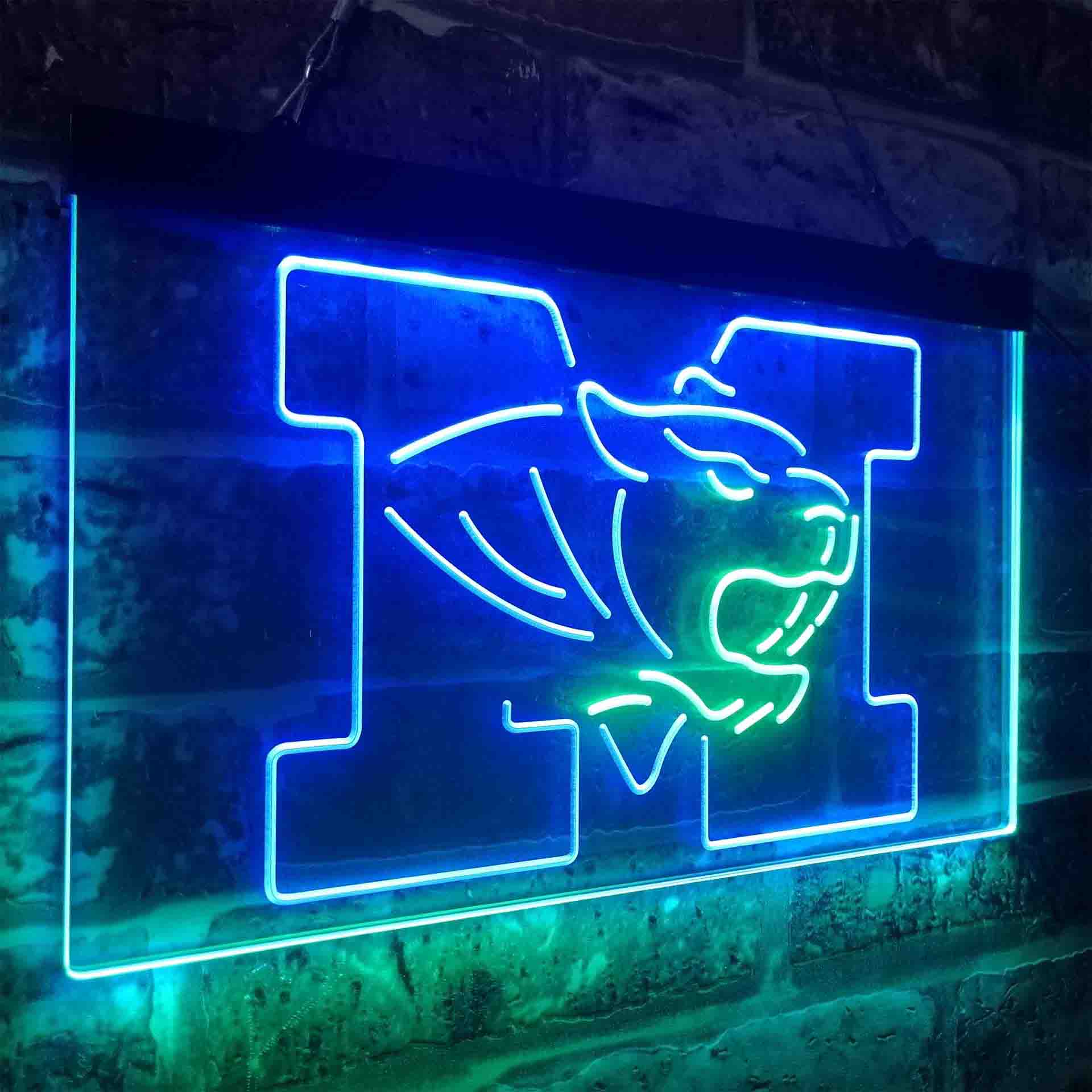 University of Missouri Tigers,NCAA Neon-Like LED Sign - Image 23