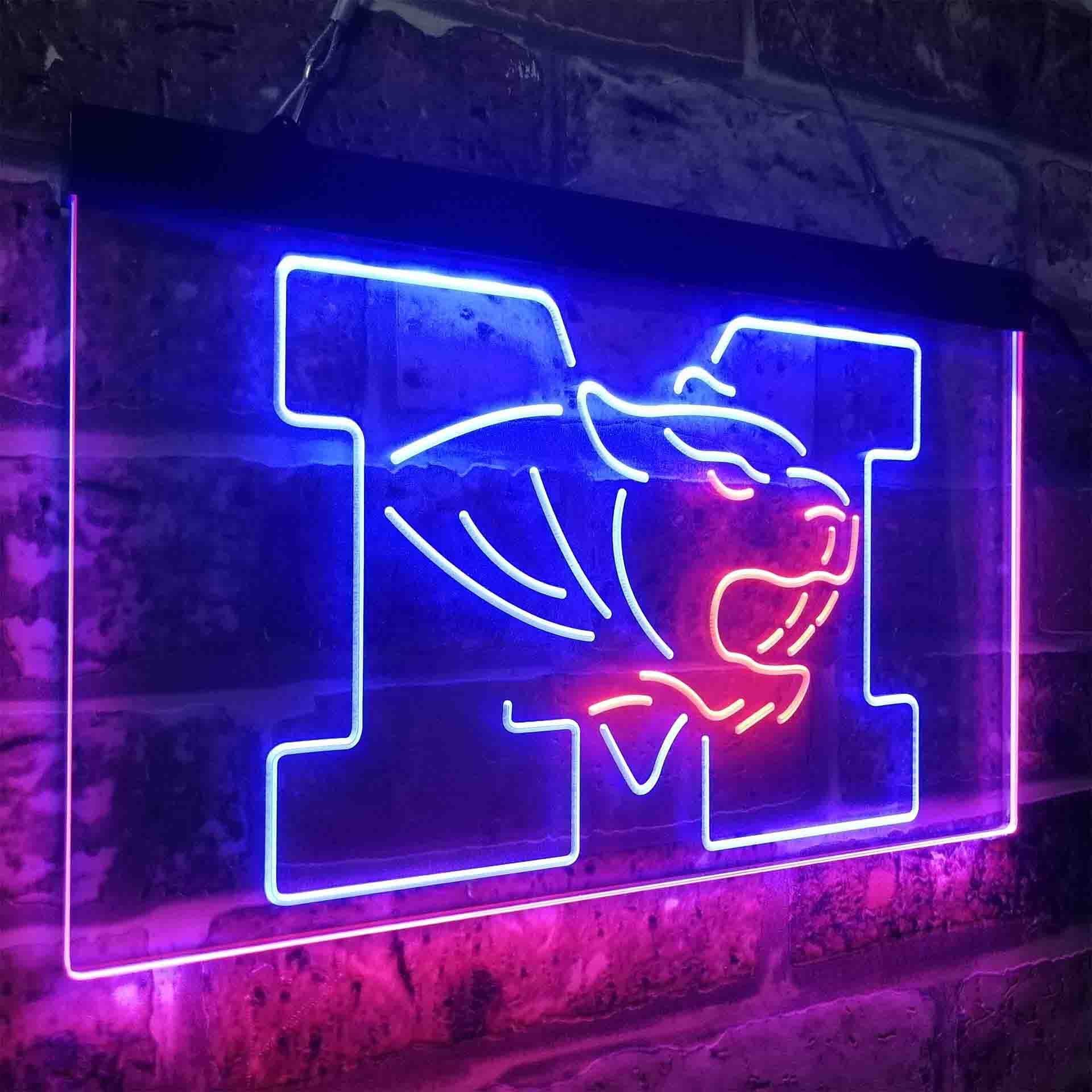 University of Missouri Tigers,NCAA Neon-Like LED Sign - Image 24