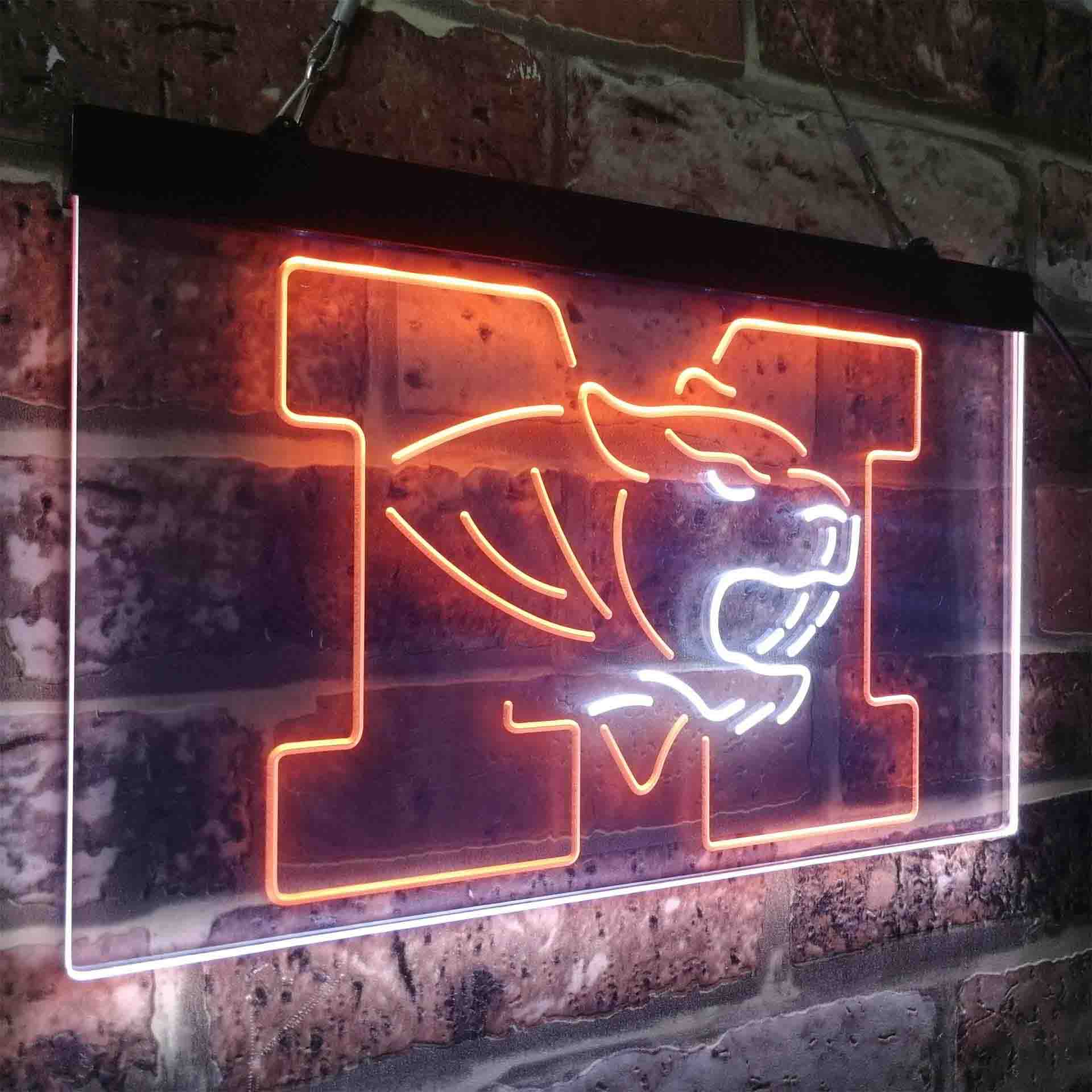 University of Missouri Tigers,NCAA Neon-Like LED Sign - Image 25