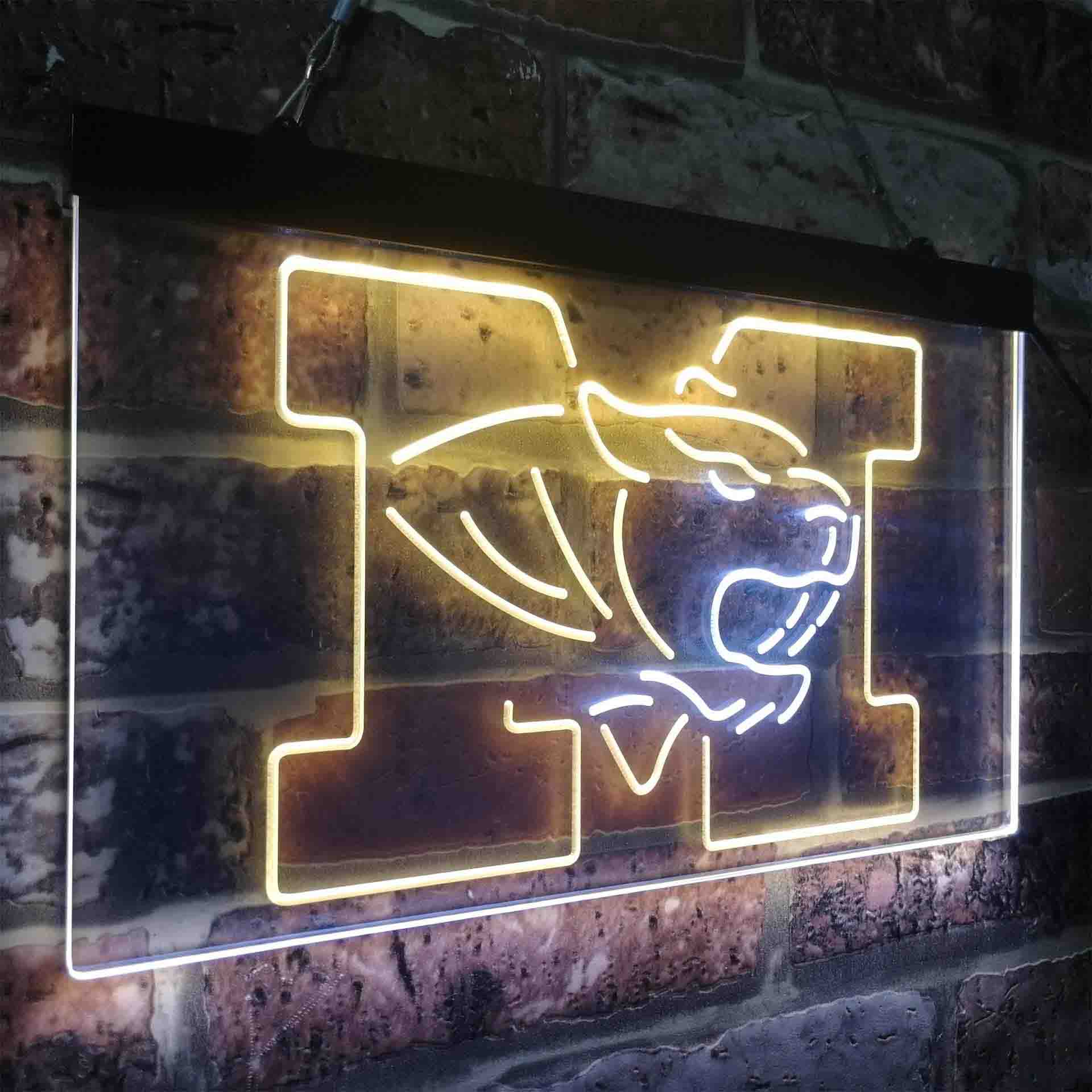 University of Missouri Tigers,NCAA Neon-Like LED Sign - Image 26