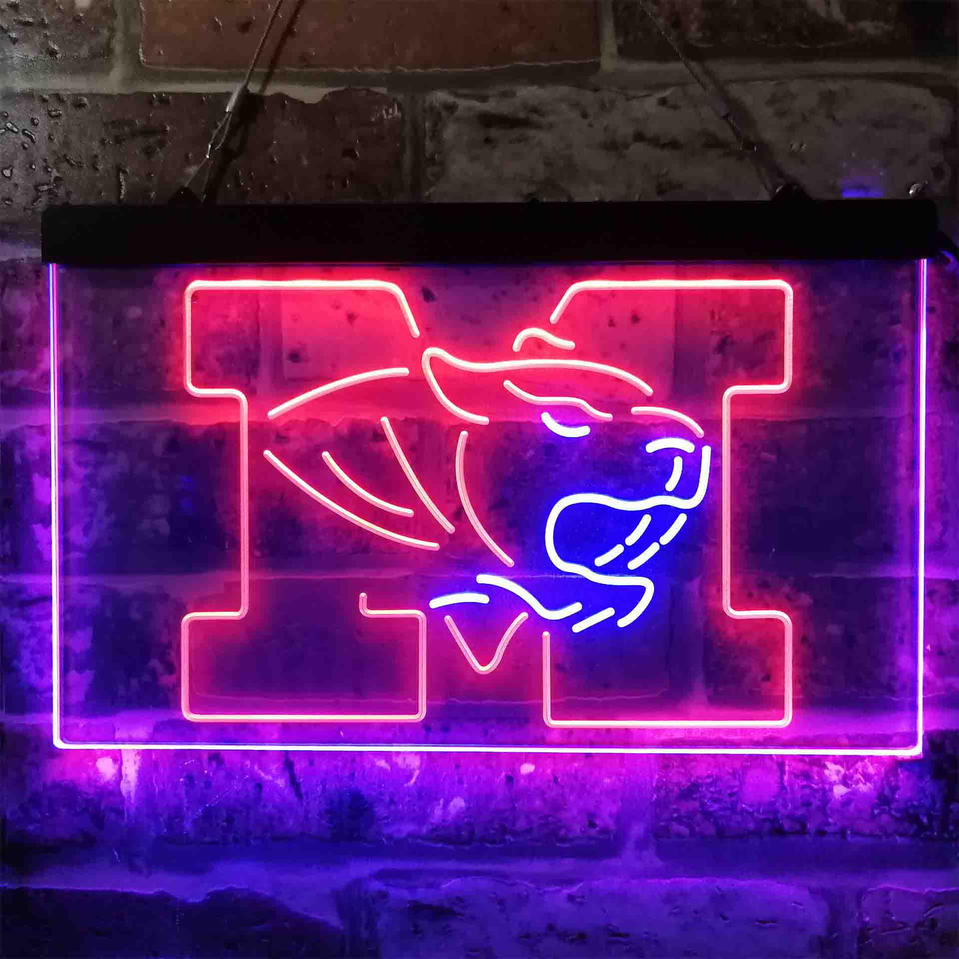University of Missouri Tigers,NCAA Neon-Like LED Sign - Image 9