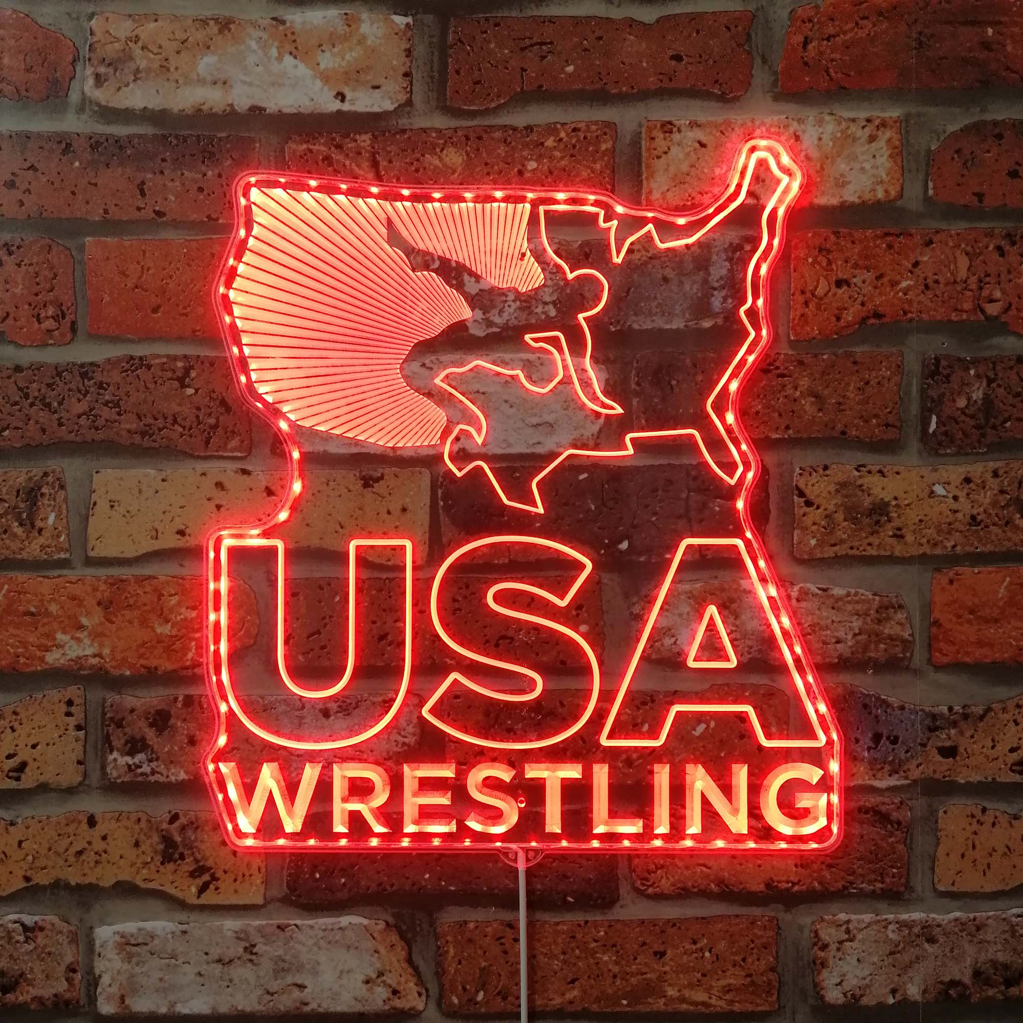 USA Wrestling Neon Neon LED Sign with Dynamic RGB Colors - Image 3