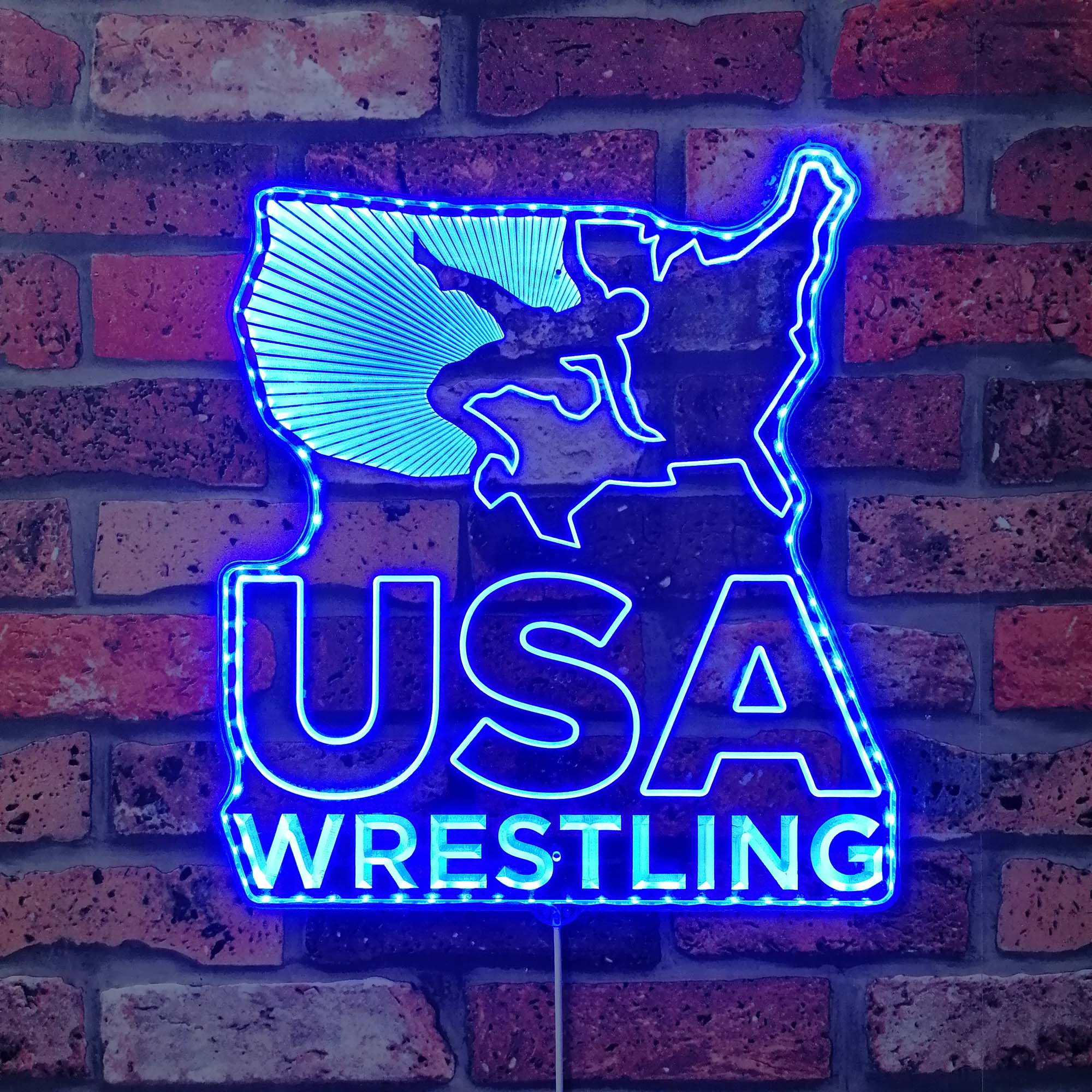 USA Wrestling Neon Neon LED Sign with Dynamic RGB Colors - Image 4