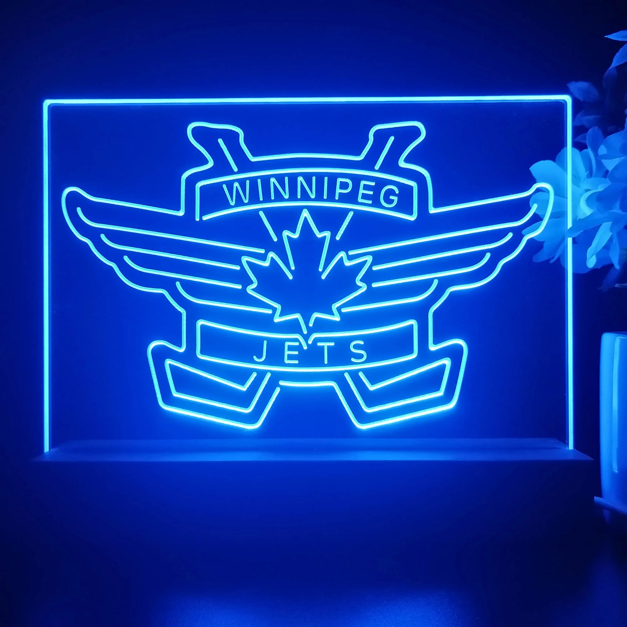Winnipeg Jets Night Light Pub Bar Lamp - Image 3
