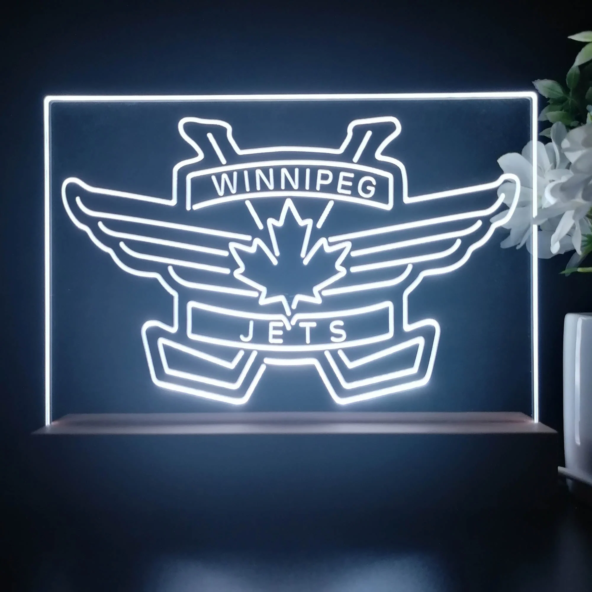 Winnipeg Jets Night Light Pub Bar Lamp - Image 4