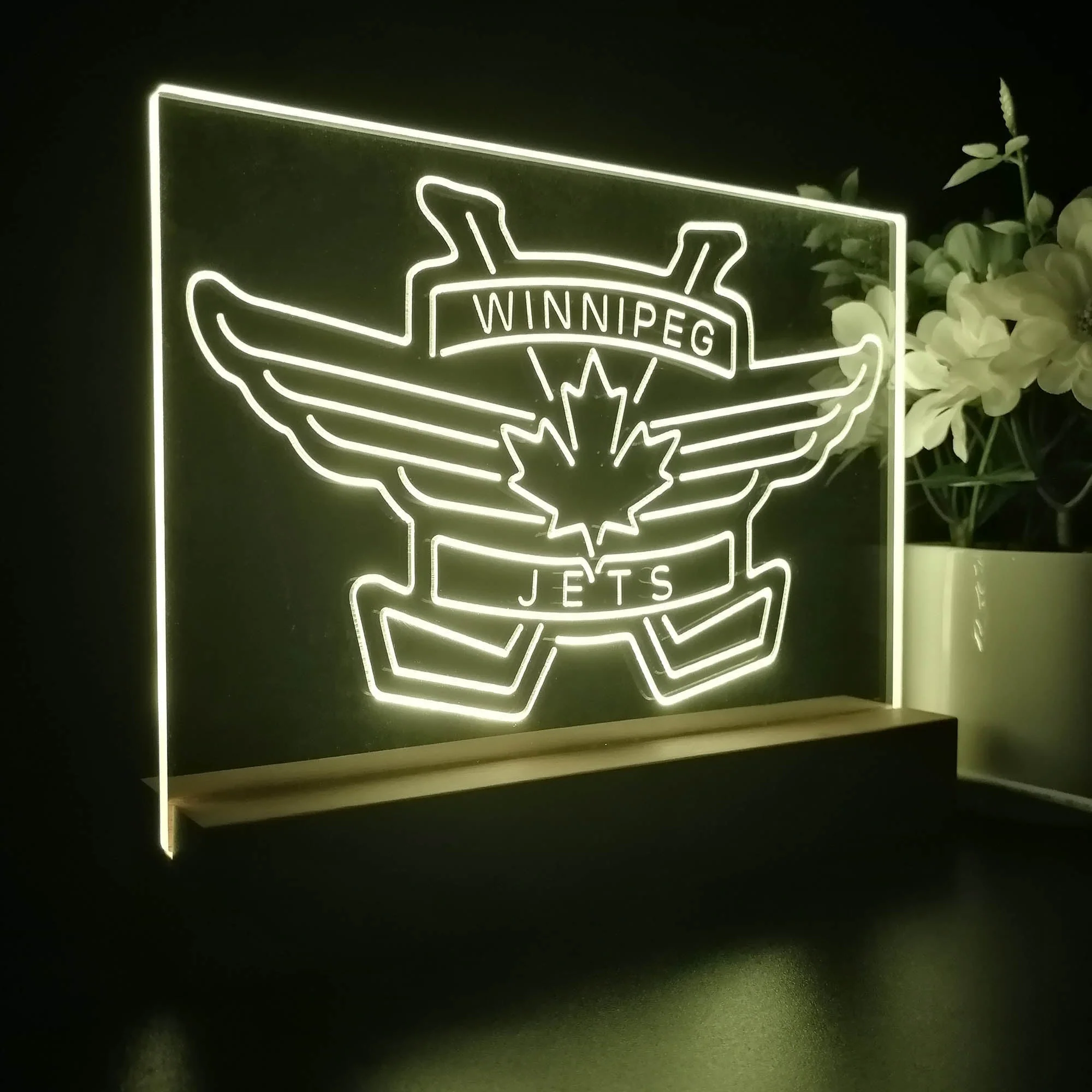 Winnipeg Jets Night Light Pub Bar Lamp - Image 5