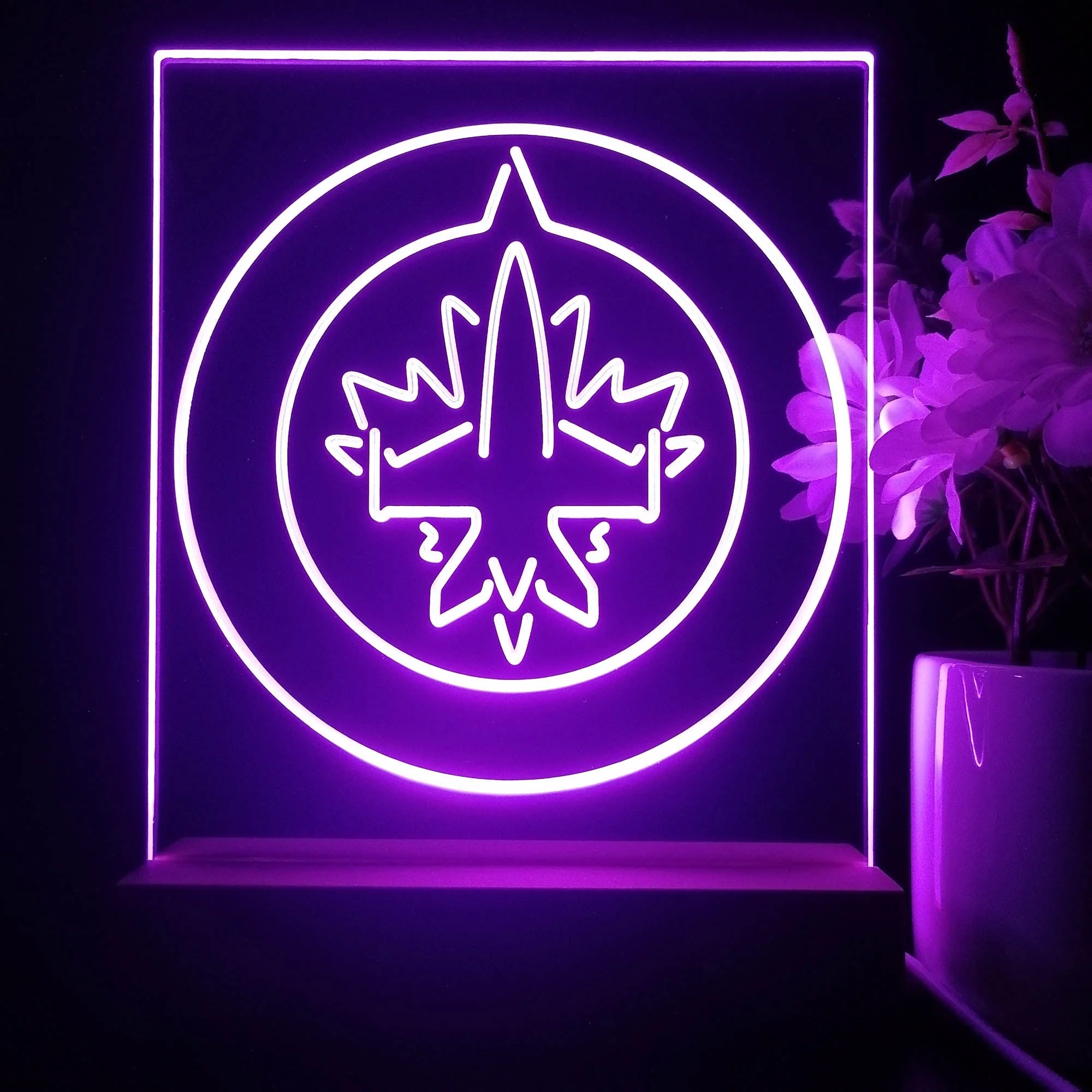 Winnipeg Jets 3D Illusion Night Light Desk Lamp