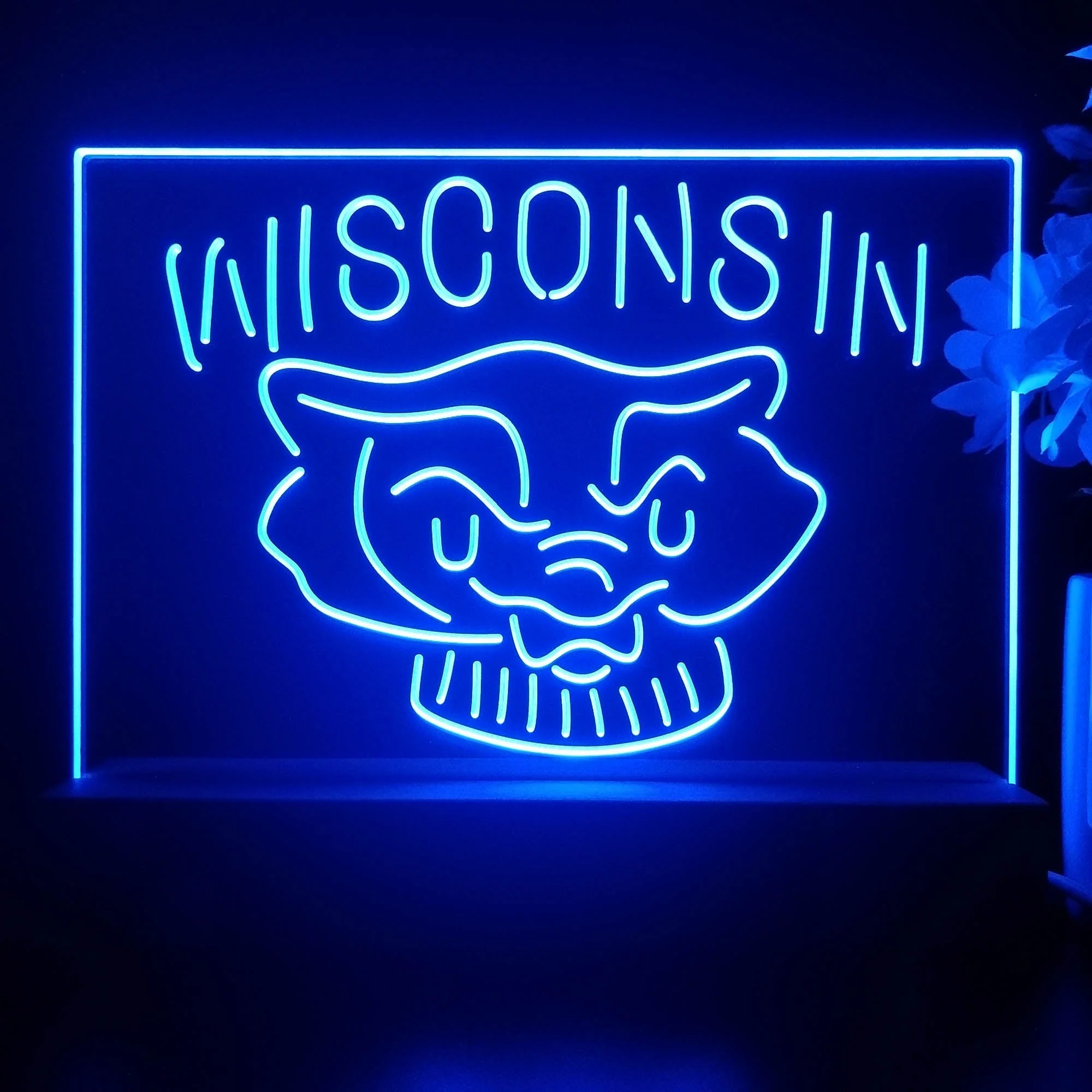 Wisconsin Badgers Night Light Pub Bar Lamp - Image 4