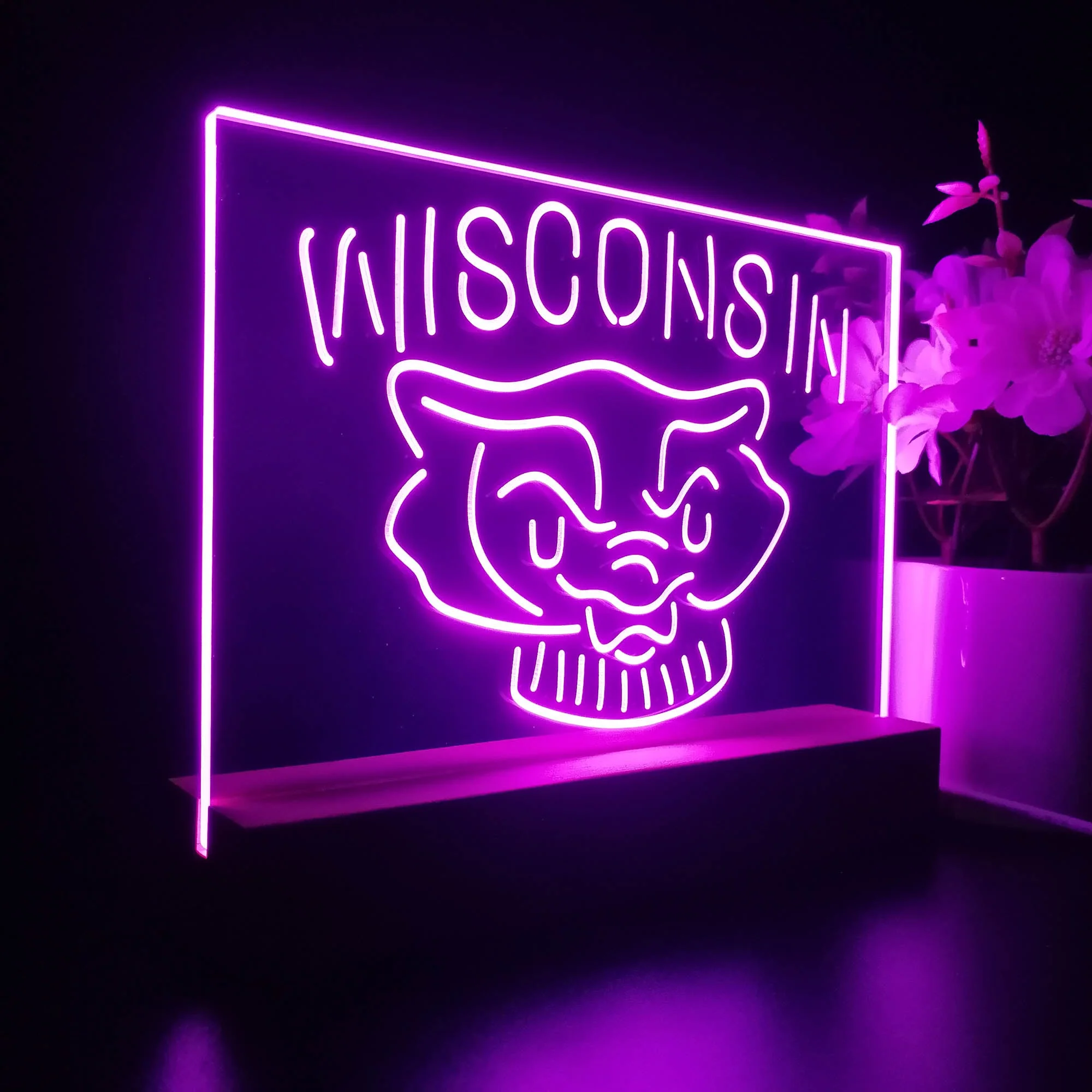 Wisconsin Badgers Night Light Pub Bar Lamp - Image 7