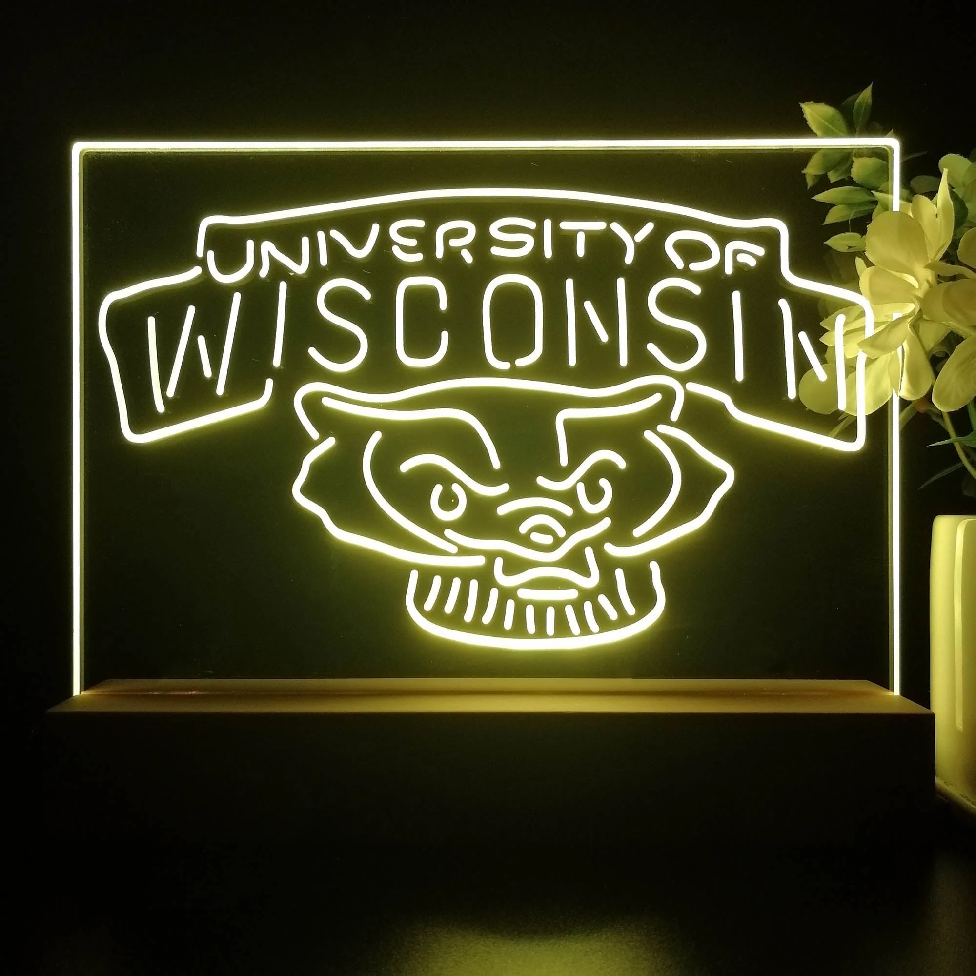 Wisconsin Badgers 3D Illusion Night Light Desk Lamp - Image 4