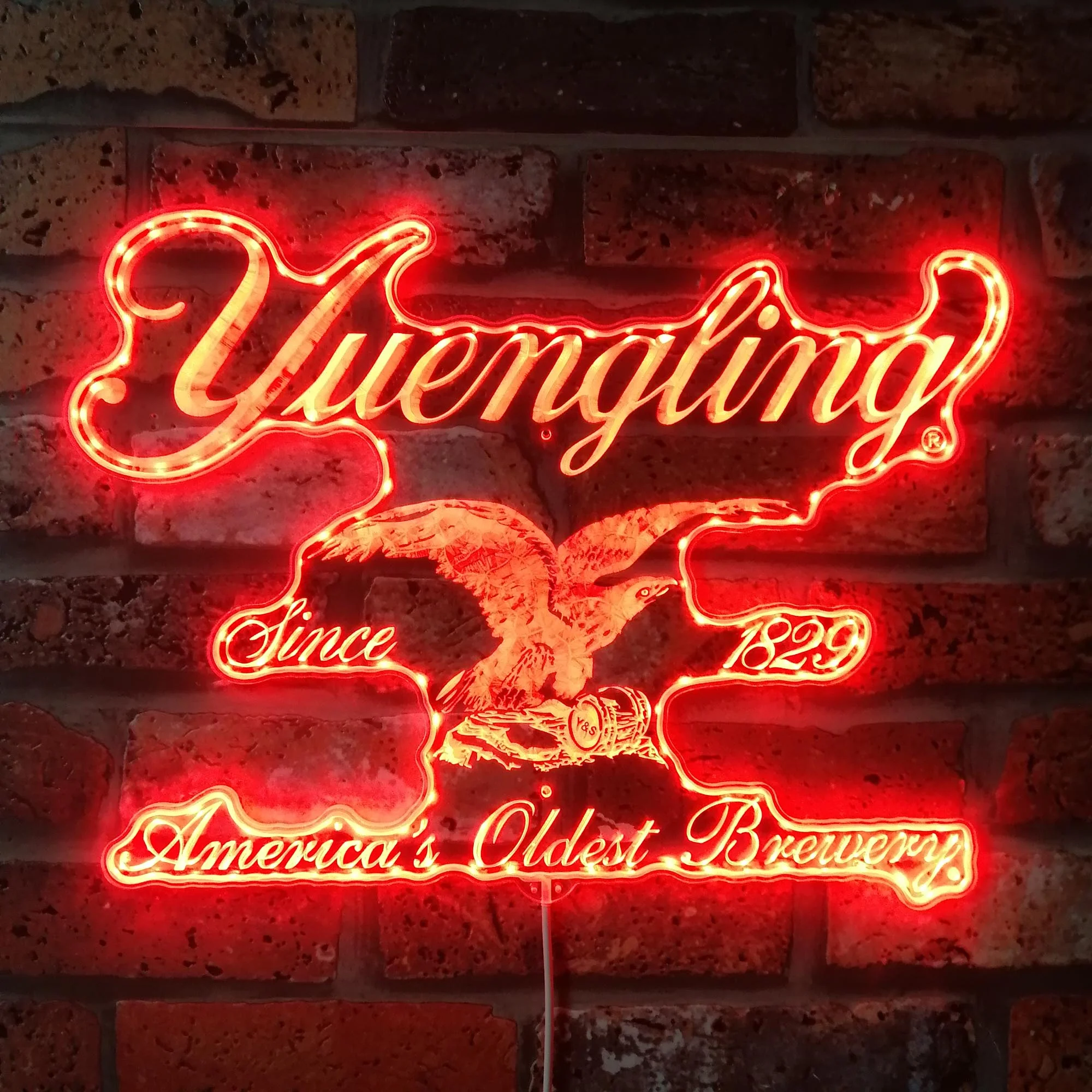 Yuengling Neon LED Sign with Dynamic RGB Colors - Image 3