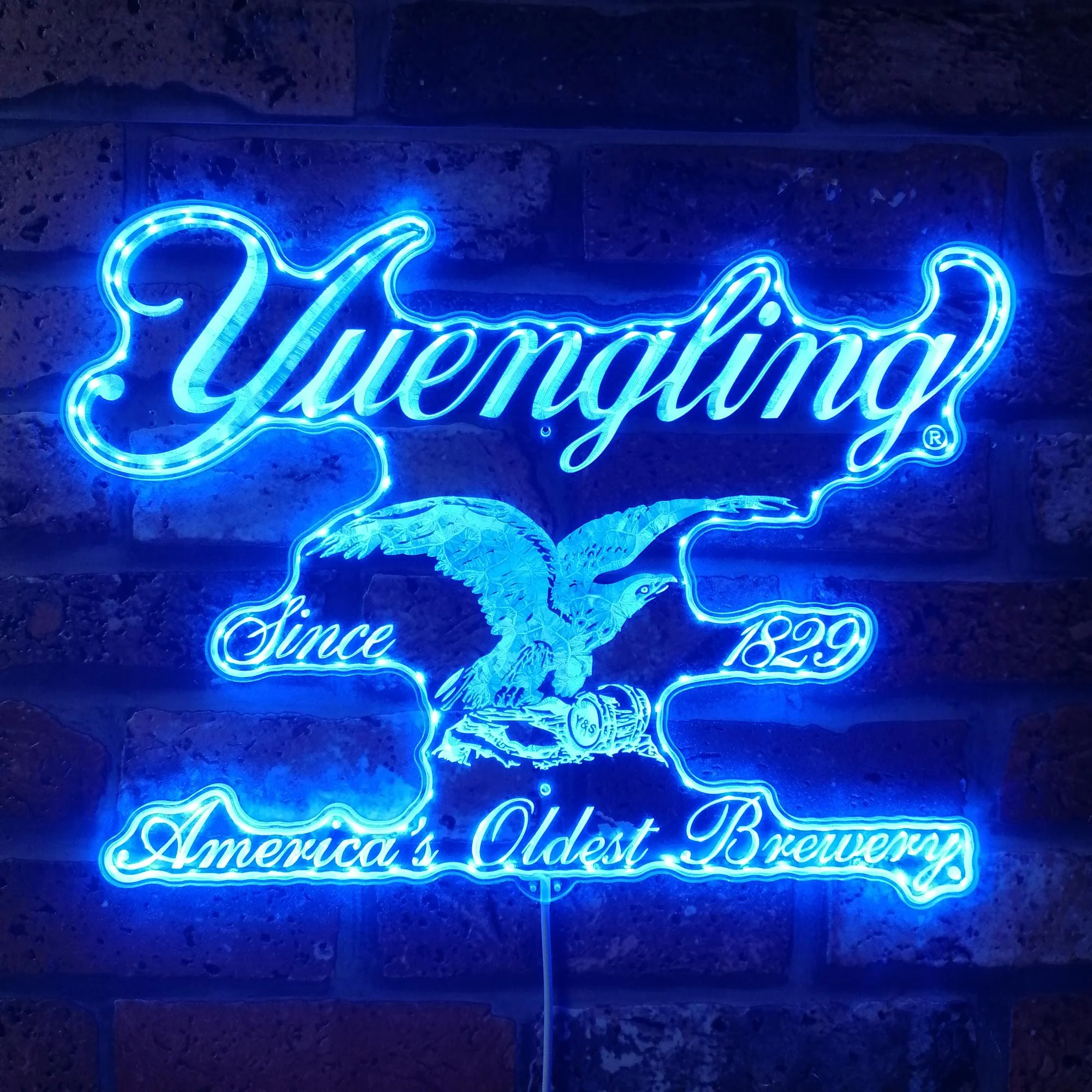 Yuengling Neon LED Sign with Dynamic RGB Colors - Image 4