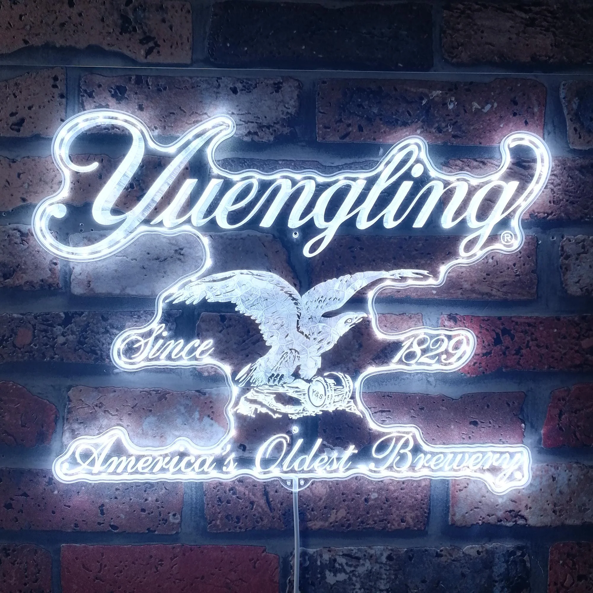 Yuengling Neon LED Sign with Dynamic RGB Colors - Image 5