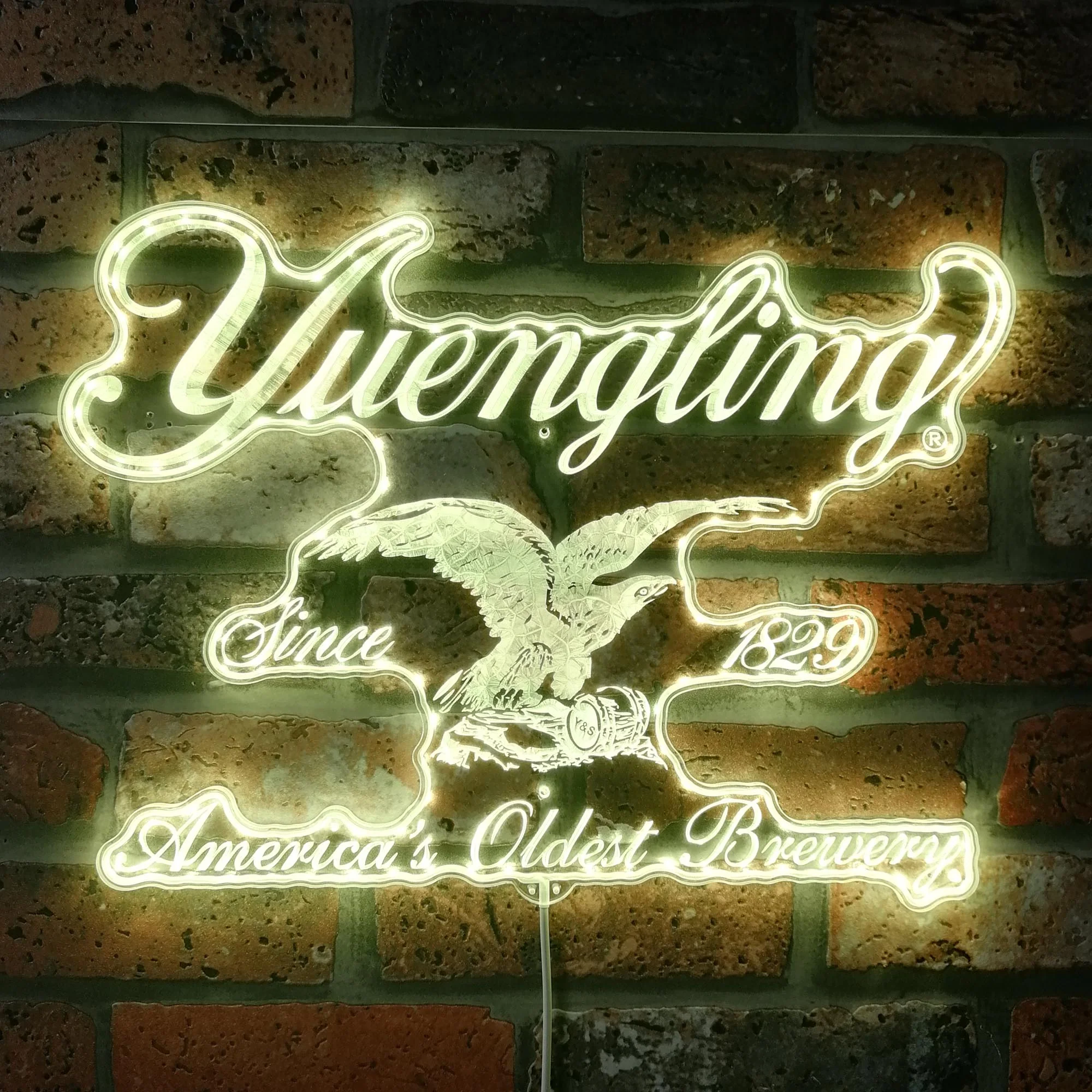Yuengling Neon LED Sign with Dynamic RGB Colors - Image 7