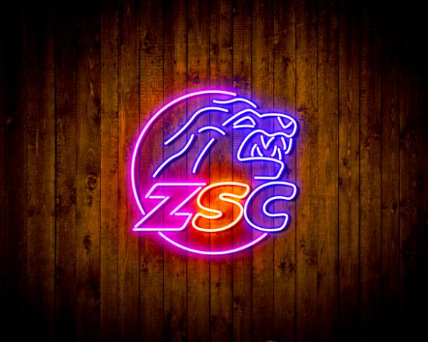 ZSC Lions Zurich Handmade Neon Flex LED Sign - Image 7